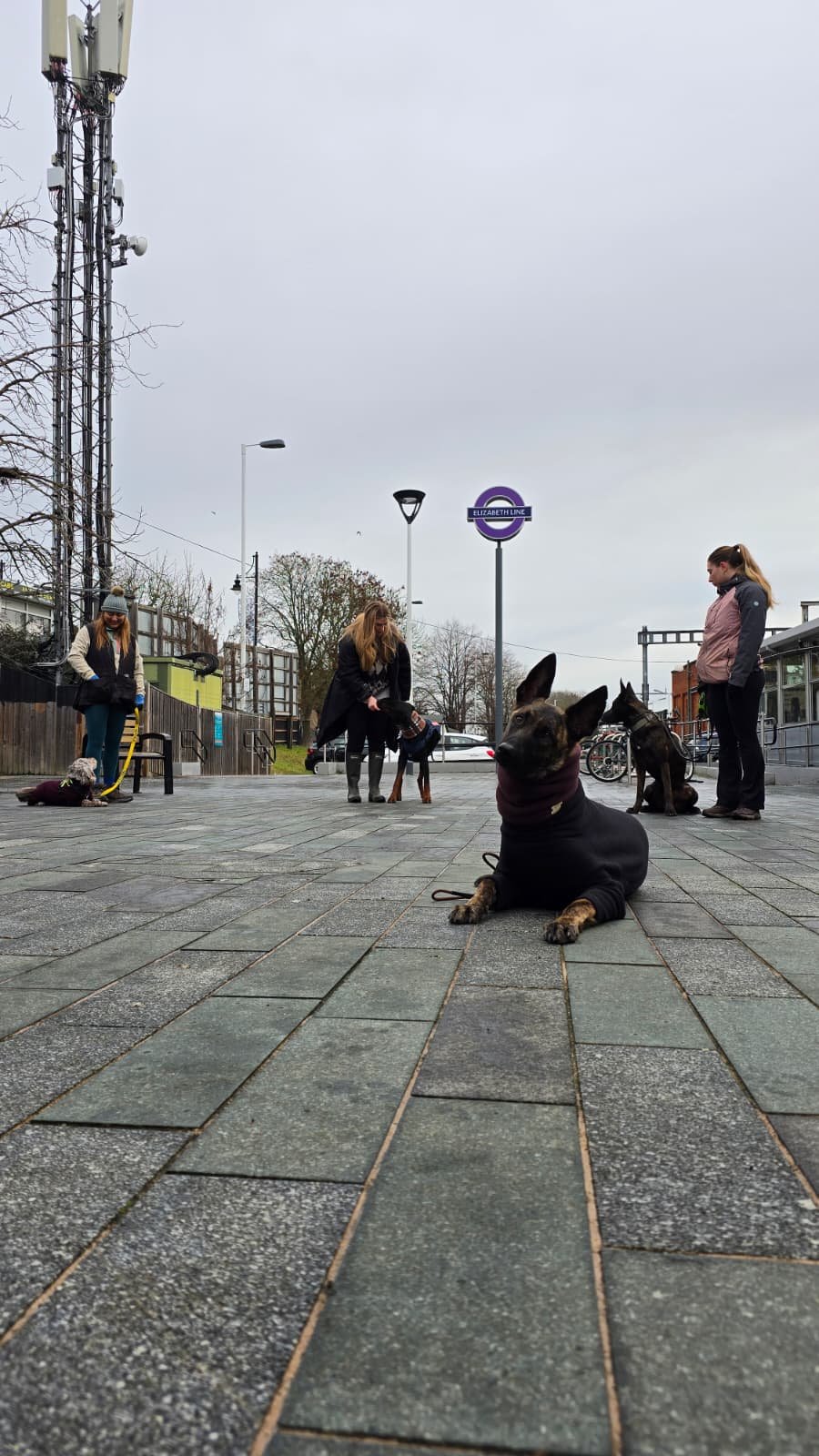 A group of people with dogs waiting outside a London underground station, with the station sign visible in the background.