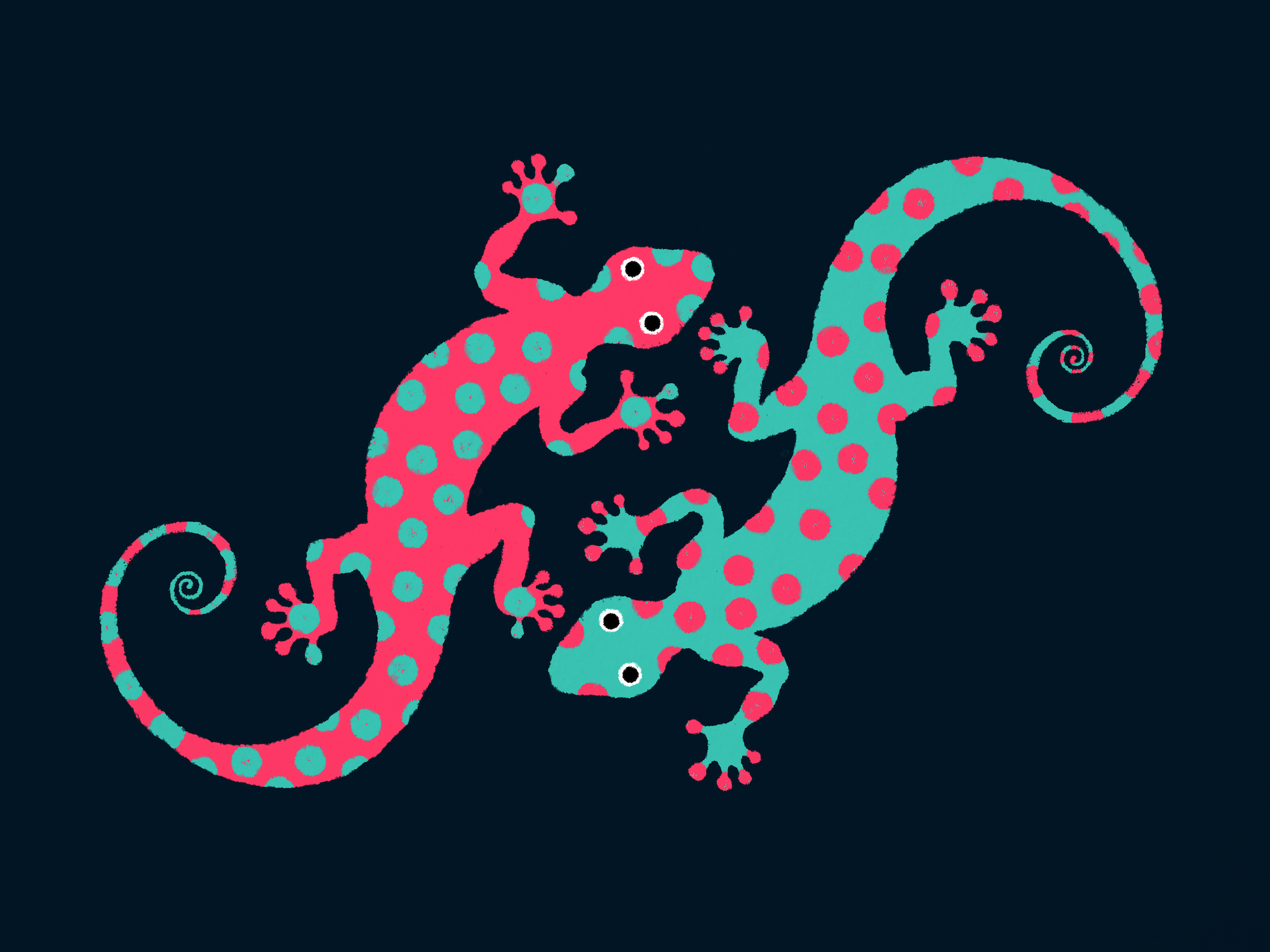 Geckoes ･ Illustration.png