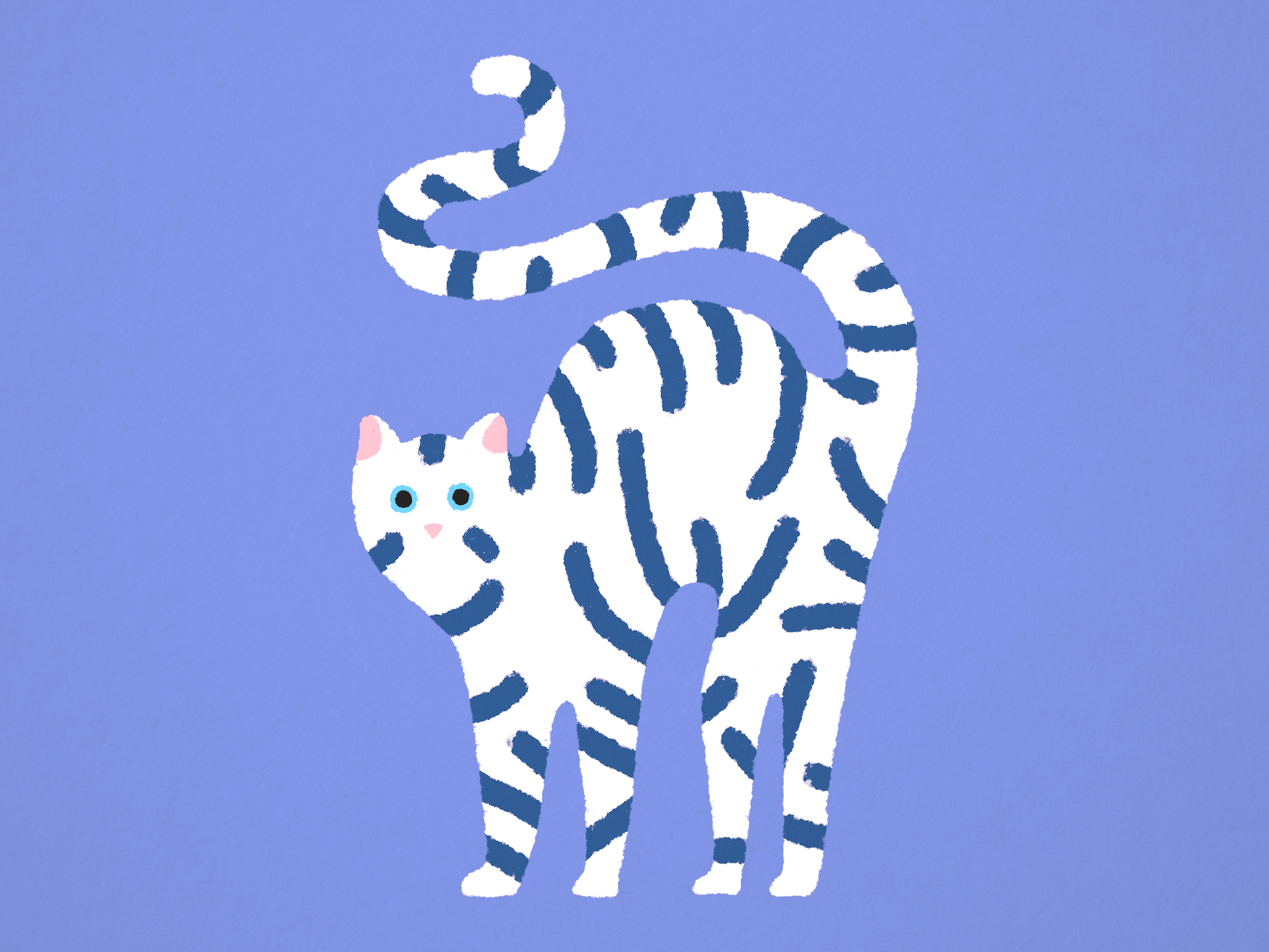 Cat ･ Illustration.png