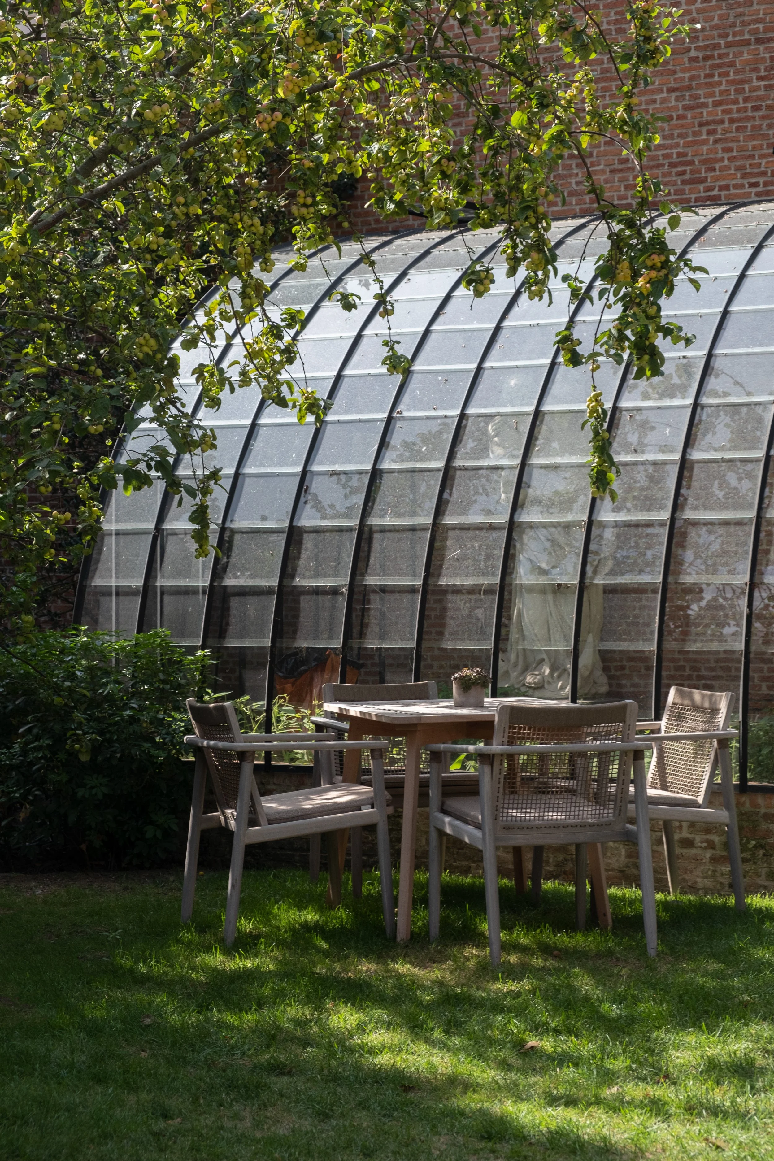 Bord met vier houten tuinstoelen en een houten tafel met een pot met bloemen, onder een boom met groene bladeren en zure appels, achter een glashol gebouwd met metalen frames, op een grasveld, in de tuin van een huis met een bakstenen muur.