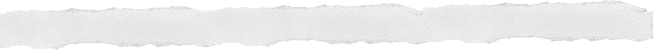 A torn piece of white paper with jagged edges.