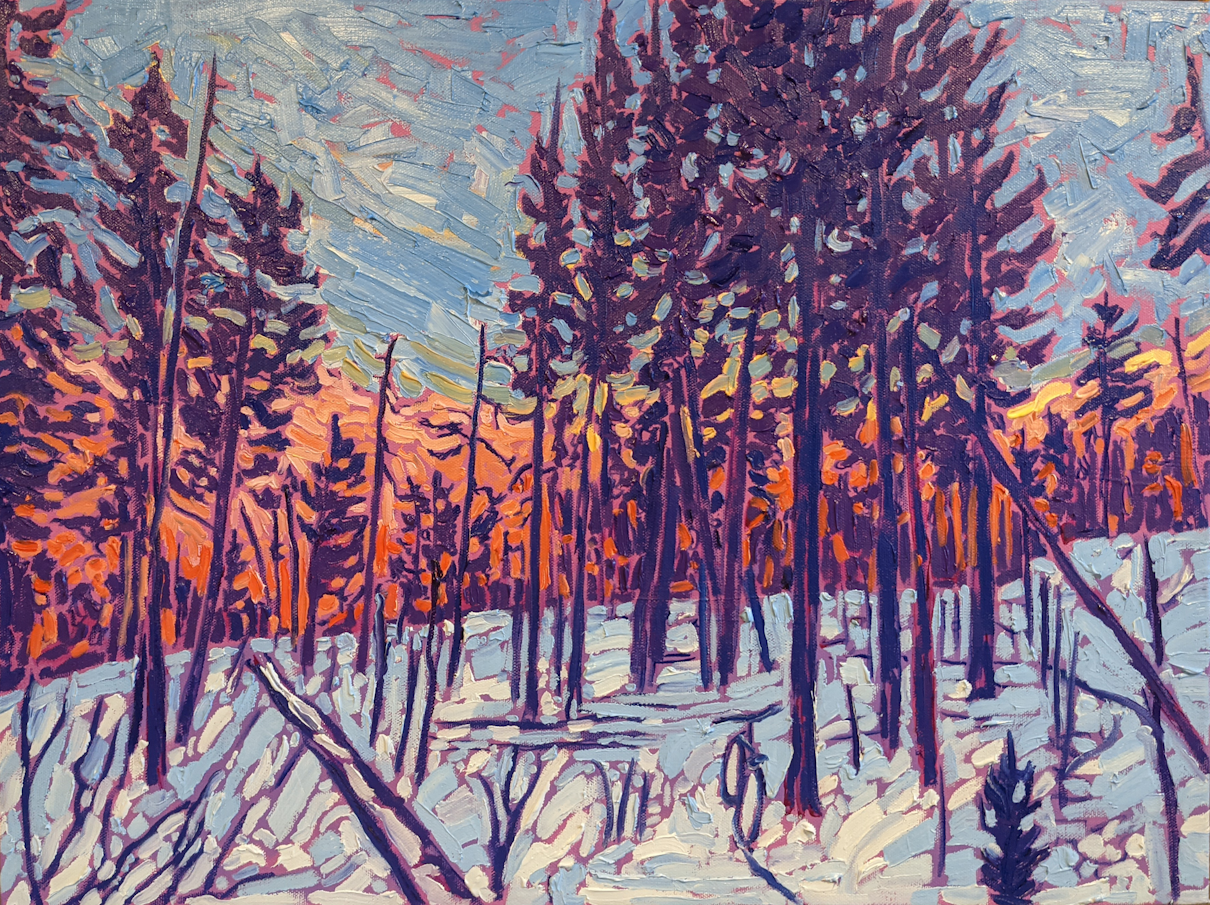 Longmont Woods Winter 2024