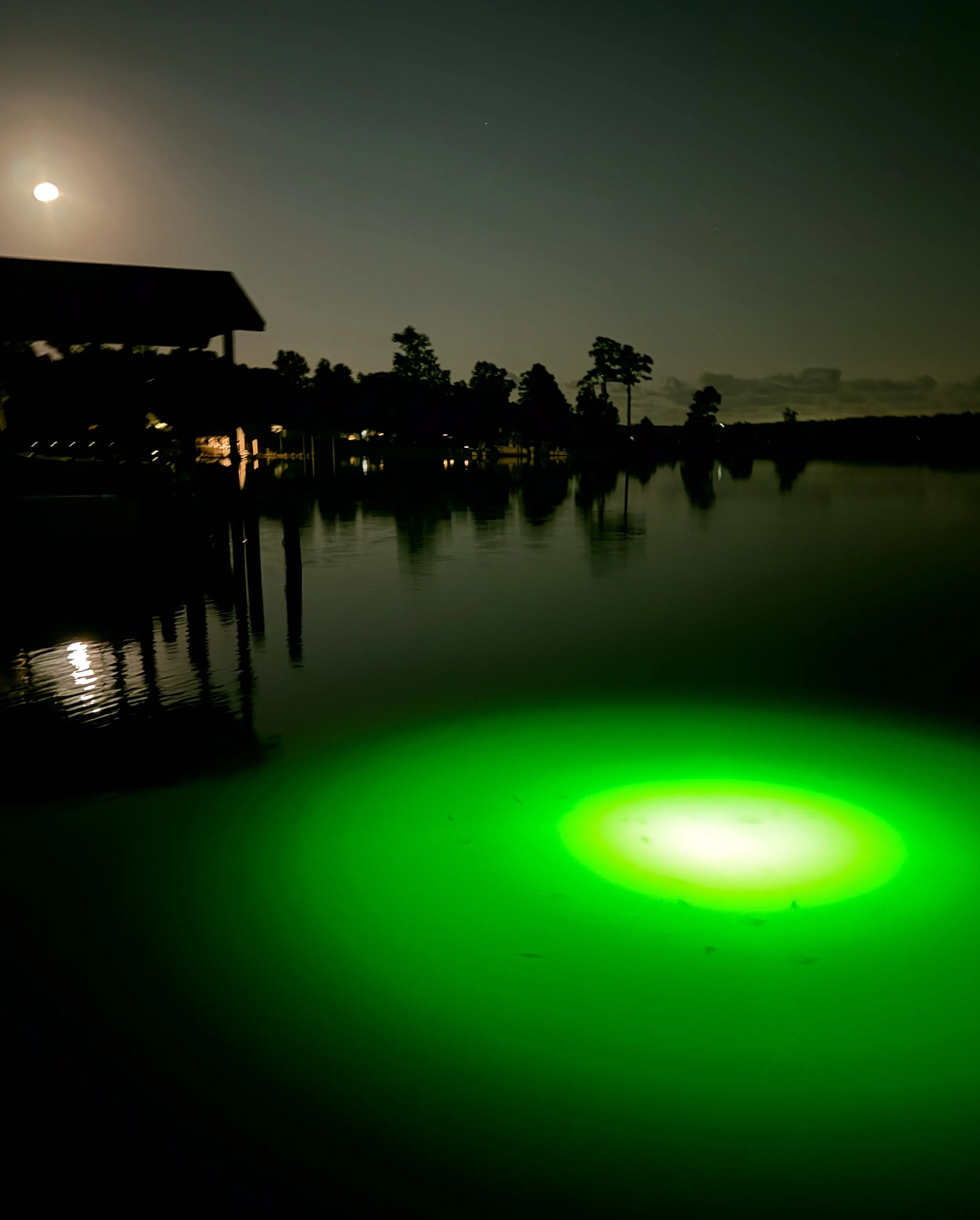 Night scene of a lake with reflections, trees, and a house on stilts, under a moonlit sky with a visible moon and few stars, with a bright green glow on the water in the foreground.