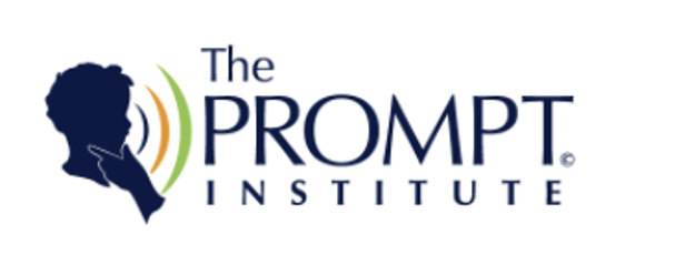Logo of The Prompt Institute featuring a silhouette of a person with, green, yellow, and orange curved lines next to the text.