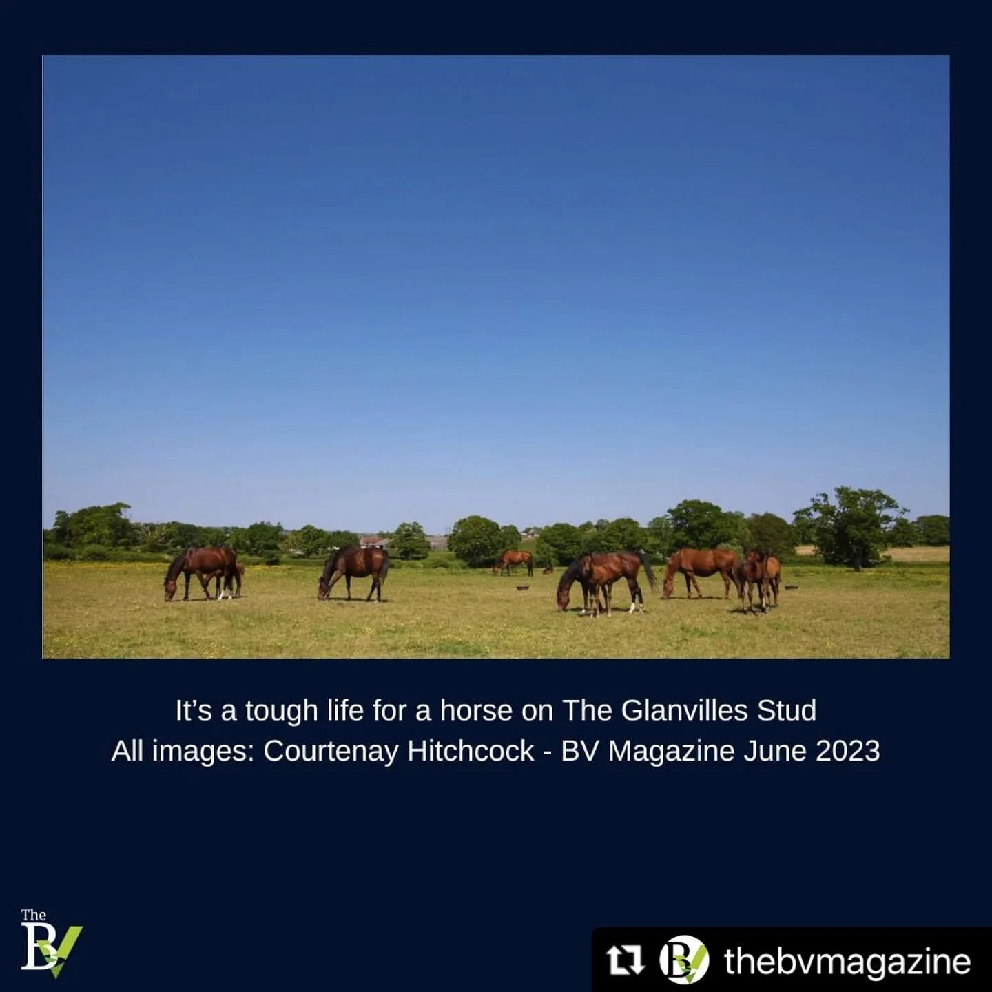 Repost @thebvmagazine ⬆️ Check out the latest issue to read about all that&rsquo;s been going on!