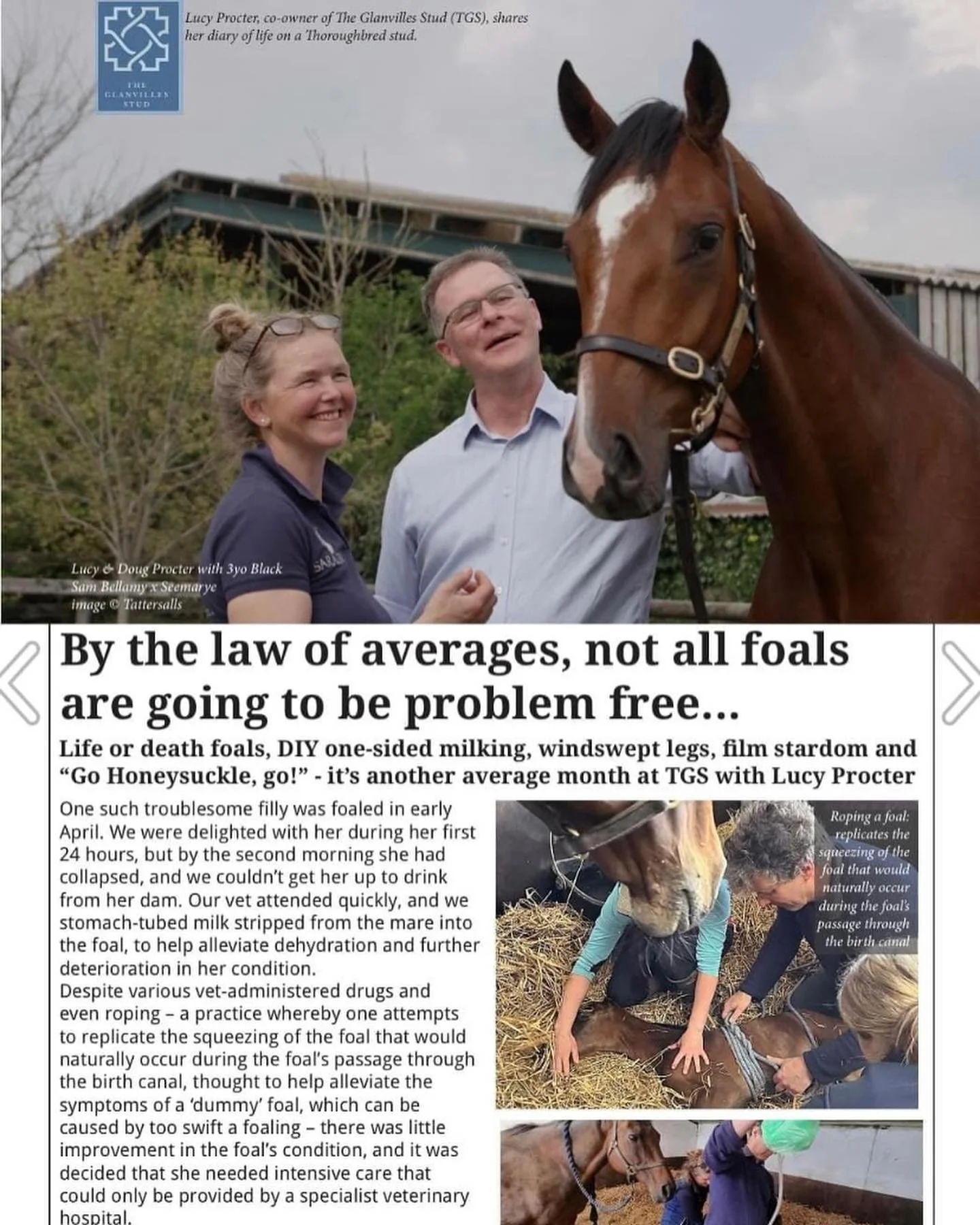 Take a look at what&rsquo;s been going on at the Stud recently 👀@theblackmorevale  https://www.theblackmorevale.co.uk/the-blackmore-vale/