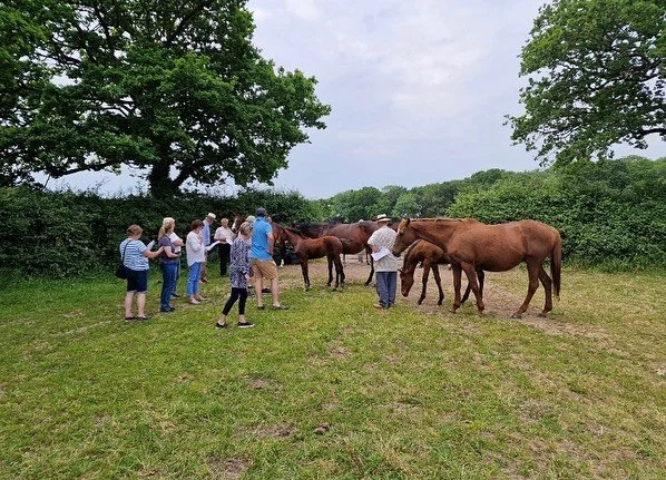 A great morning at TGS last week with a visit from the Colin Tizzard Racing Club yesterday. Fascinating scanning demo from our vet Paul Legerton, Holnest Park Equine. And everyone very much enjoyed getting in amongst the mares and cuddling their foal