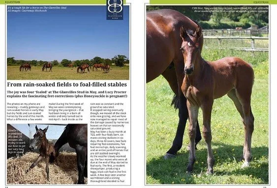 And in the June issue of The BV Magazine, catch up on TGS&rsquo; muddy to sun-soaked May. https://issuu.com/theblackmorevale/docs/bv_june_23/1?ff