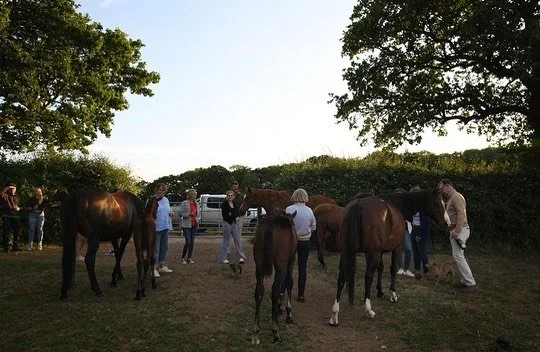 It&rsquo;s Racing Staff Week, the racing industry&rsquo;s opportunity to say thank you to all who work for the greater good of the thoroughbred in racing yards and on stud farms, so a huge thank you to all of our wonderful Team at TGS. 

To coincide 