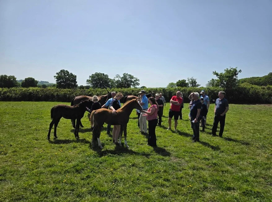 We were delighted to welcome members of The Colin Tizzard Racing Club for their annual visit on Saturday morning. The sun was shining and all the foals thoroughly enjoyed the attention! ☀️

📸 Simon Gillett 
📸 Faye Ellison