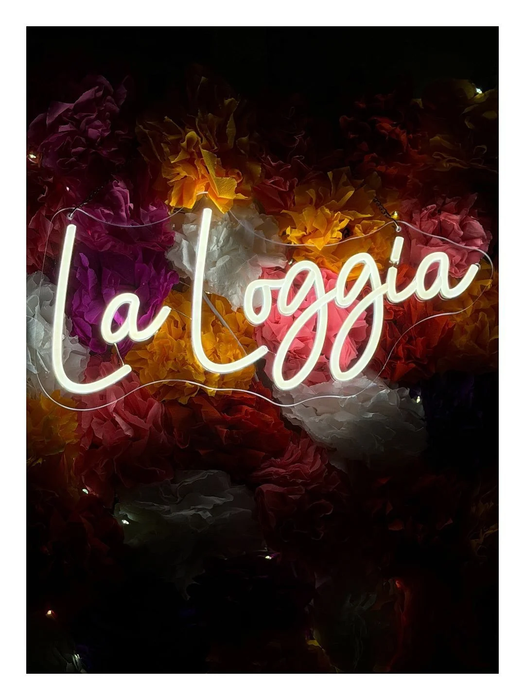 Samedi, nous f&ecirc;tions &laquo;&nbsp;officiellement&nbsp;&raquo; la r&eacute;ouverture de la Loggia 🎉 merci &agrave; toutes les personnes qui sont pass&eacute;es faire un coucou. Voici quelques photos souvenirs prises cet apr&egrave;s-midi l&agra