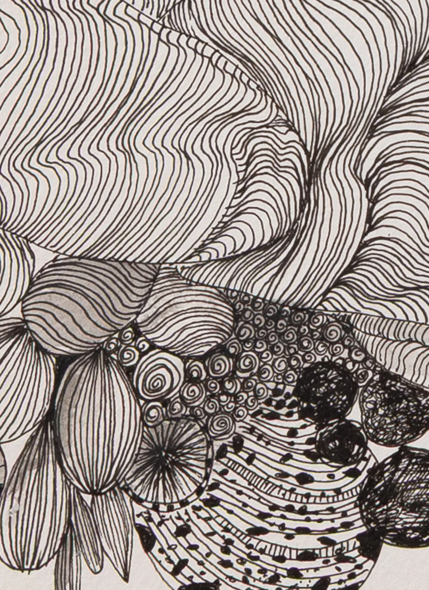 Hoshyar Rasheed - From My Garden, nr. (9), 2024-2.jpg