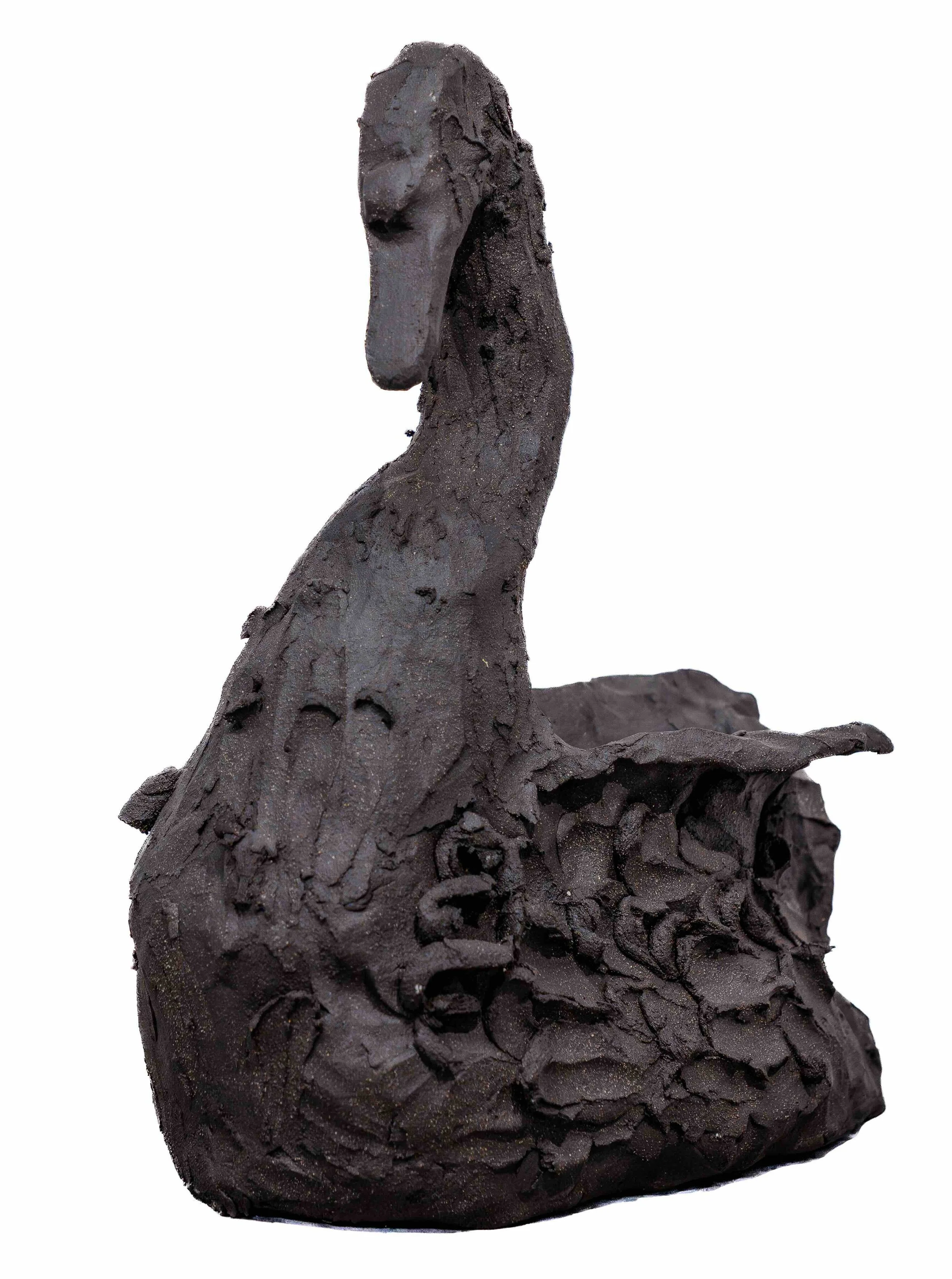Cigno Nero, 2025.jpeg