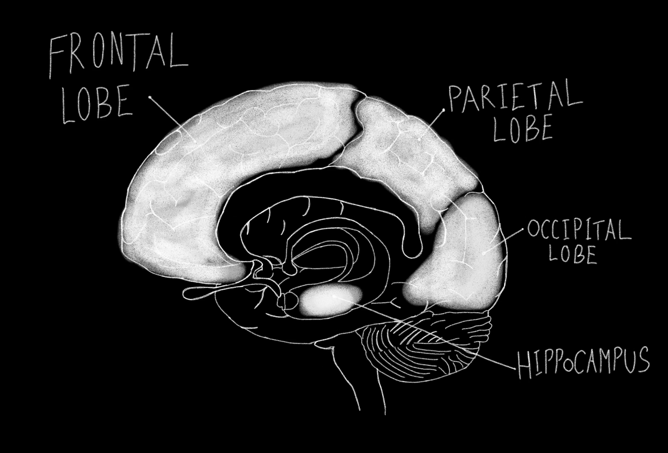 Screenshot 2025-11-11 at 16.32.27.png