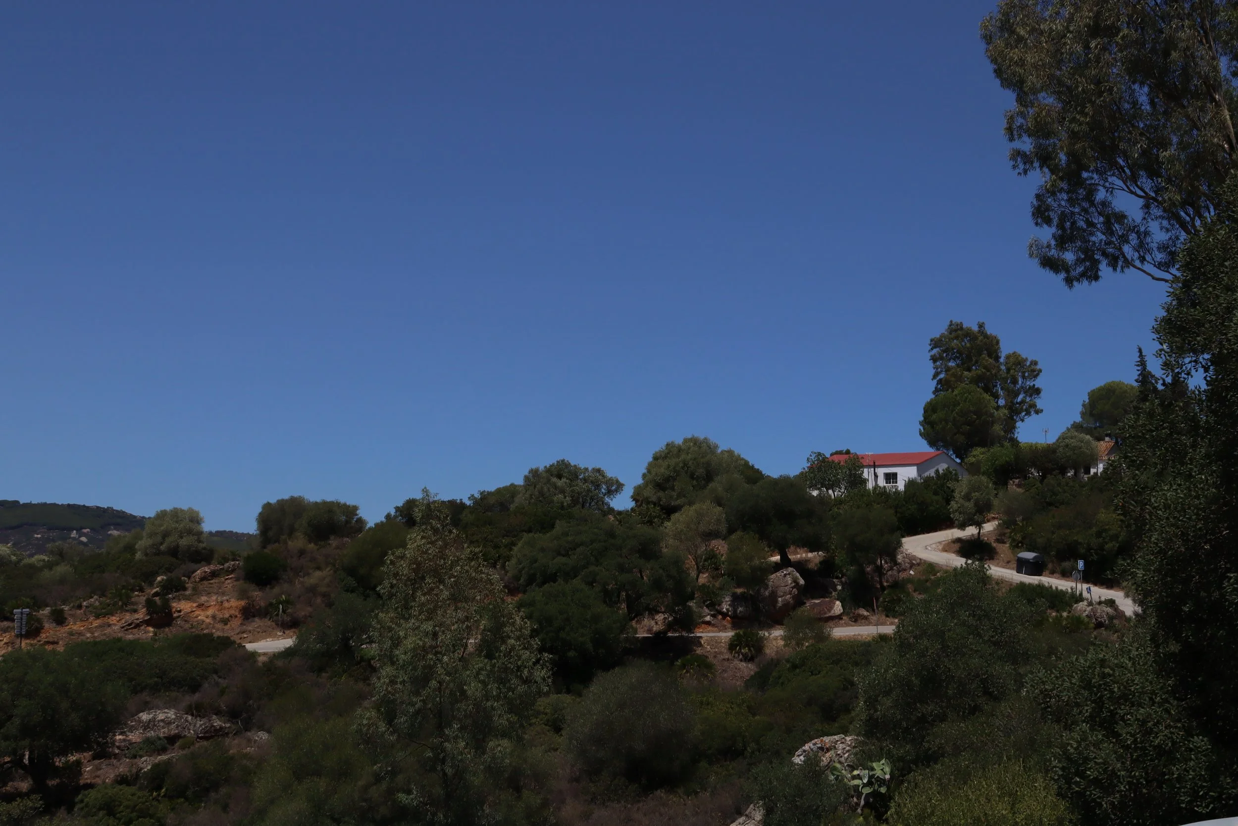 CANON Canon EOS 250D (000711459048) (06_08_2023 01_14_52).jpg