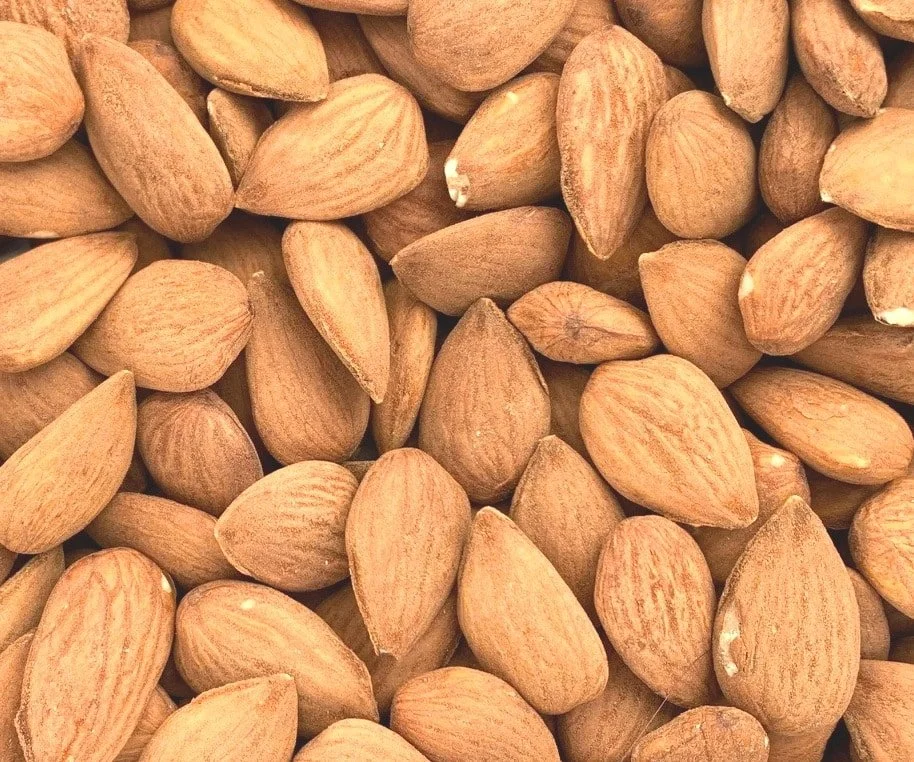 Granada_almonds_raw_with_skins.jpg