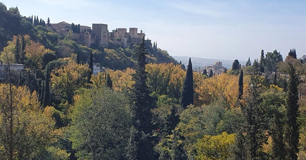Tapas_Hamper_Alhambra_from_Sacromonte.jpg