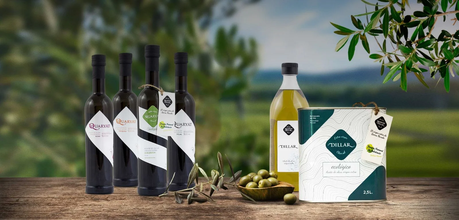 Quaryat Dillar Extra virgin olive oil