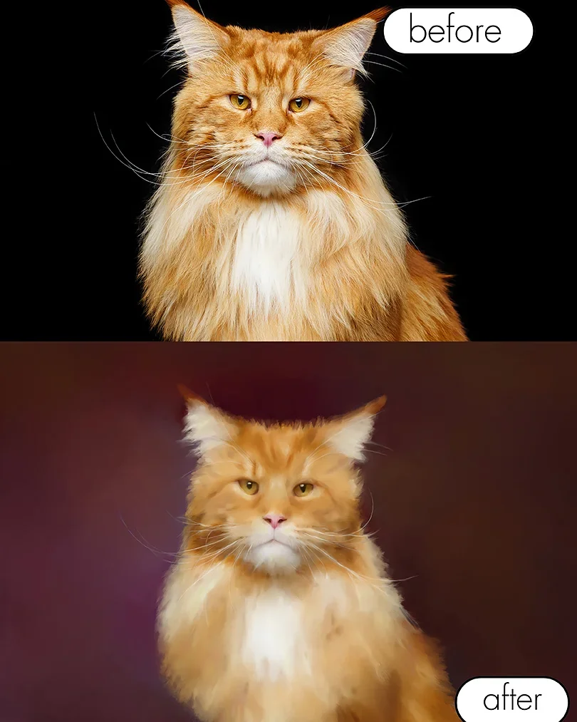 Comparison image of a long-haired orange cat before and after grooming, with the top labeled 'before' and the bottom labeled 'after'.