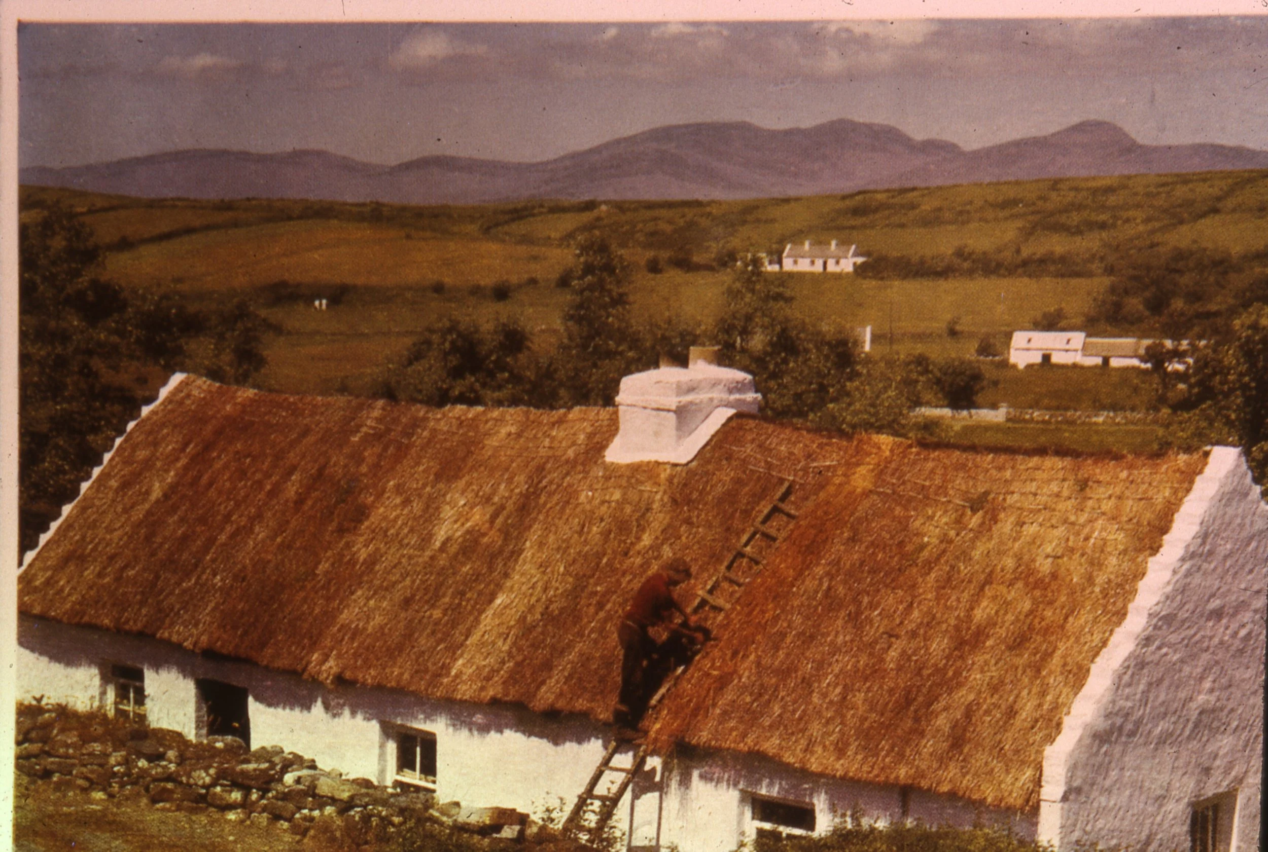 Ireland Slides From Melbourne 041 Thatcher At Work In The Irish Country Side