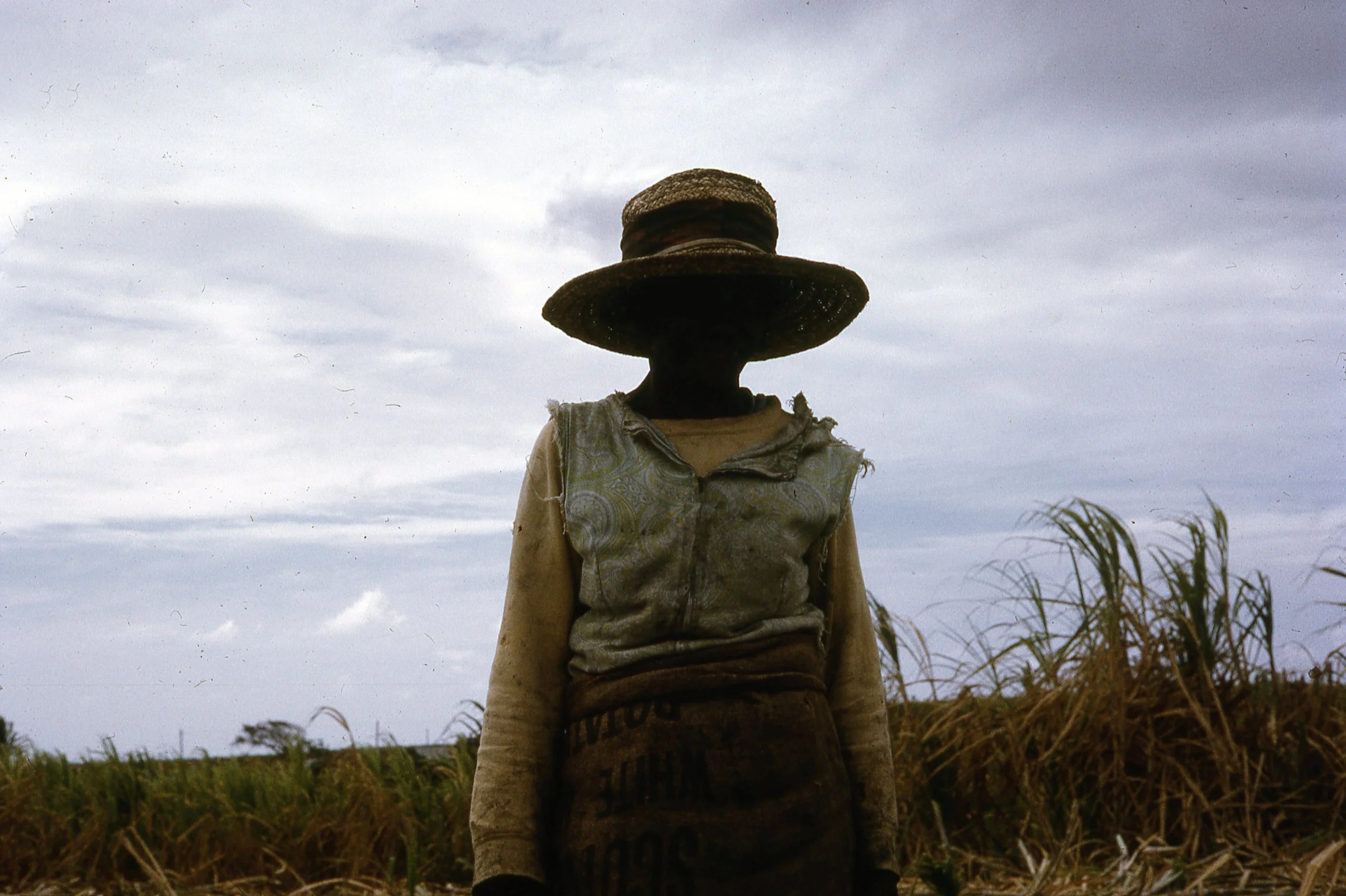 Sugar Cane Worker Barbados.jpg