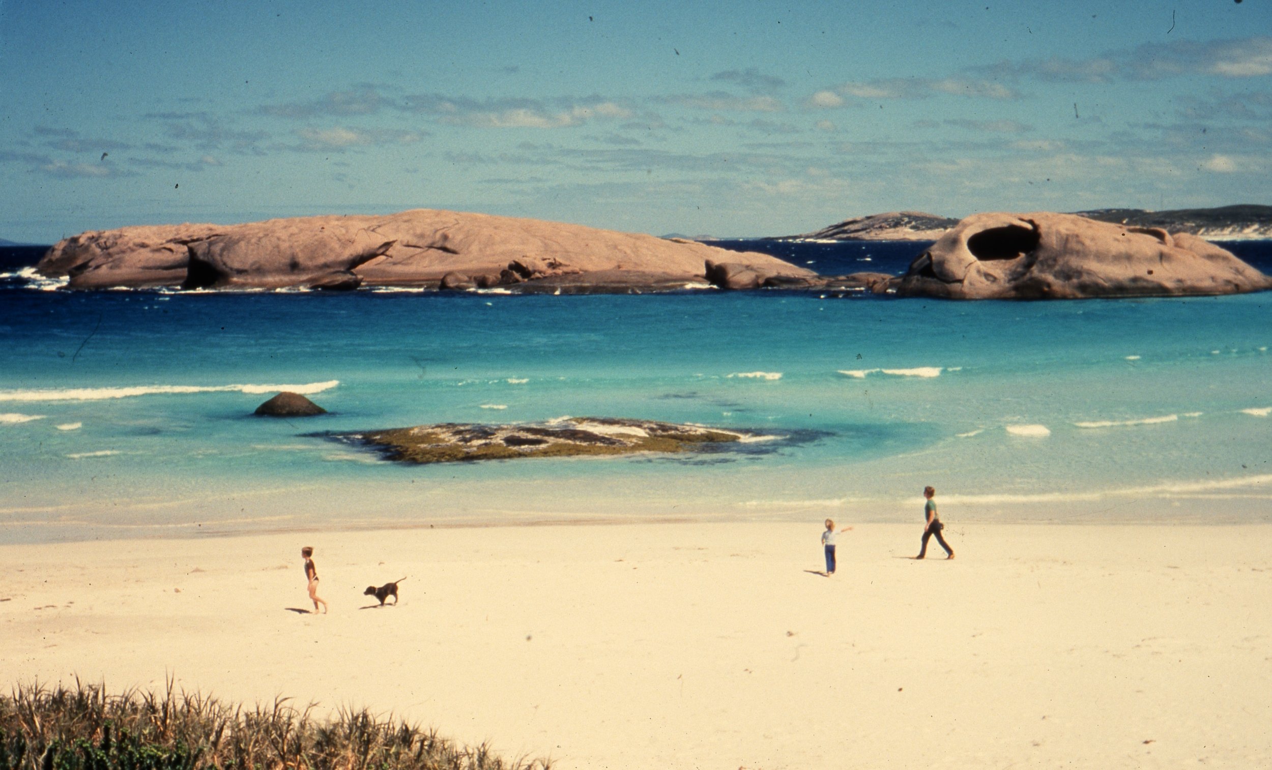 Eileen Jean Fenn 011 Sea Monster