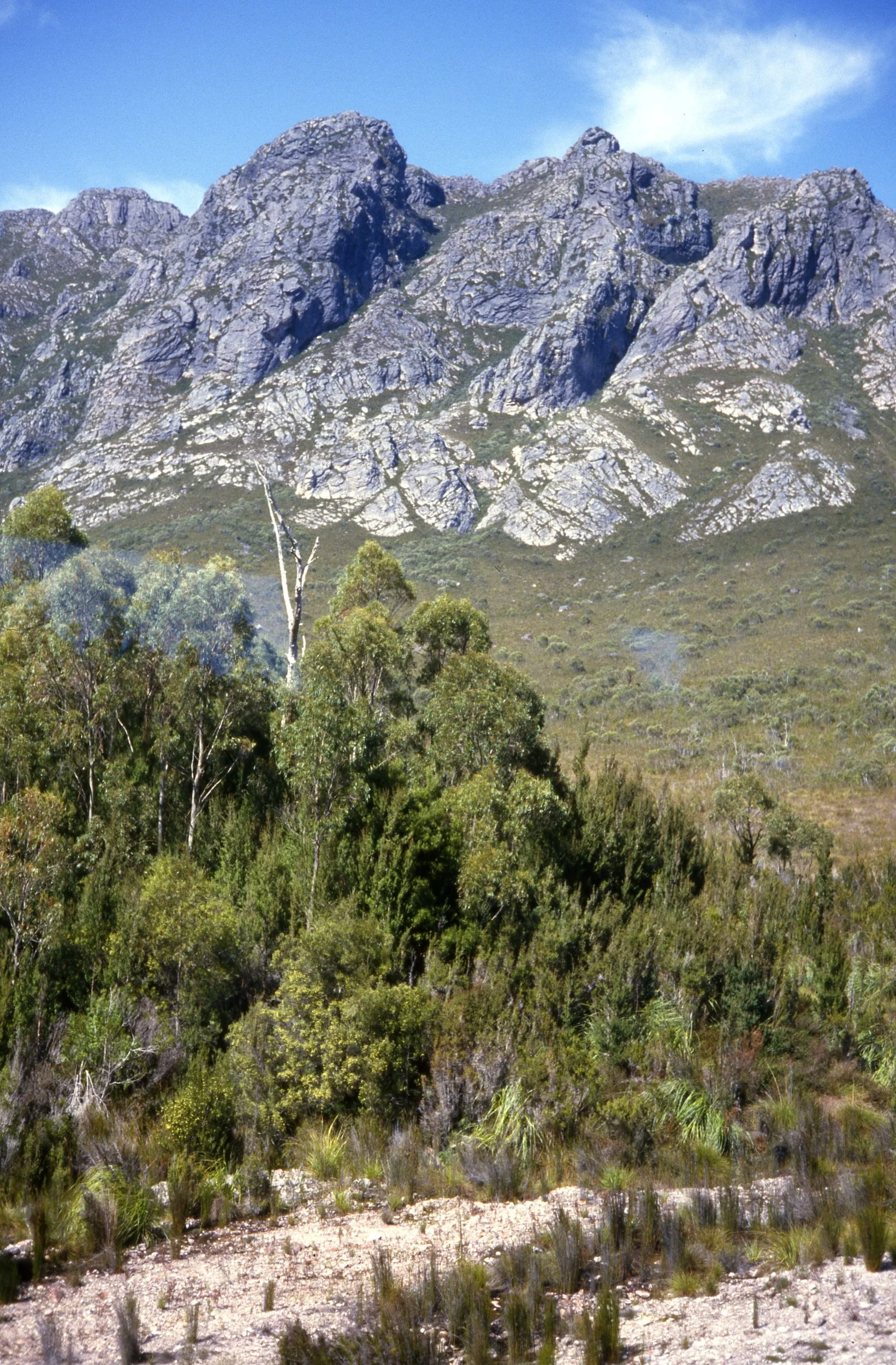 Eileen Jean Fenn 019 Lake Pedder Rocky Mountain In Background