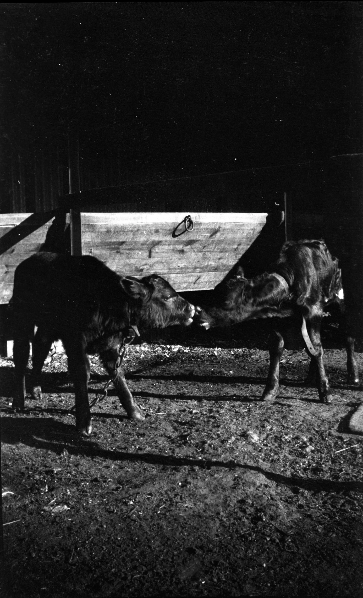 Eileen Jean Fenn 027 September 1934 005