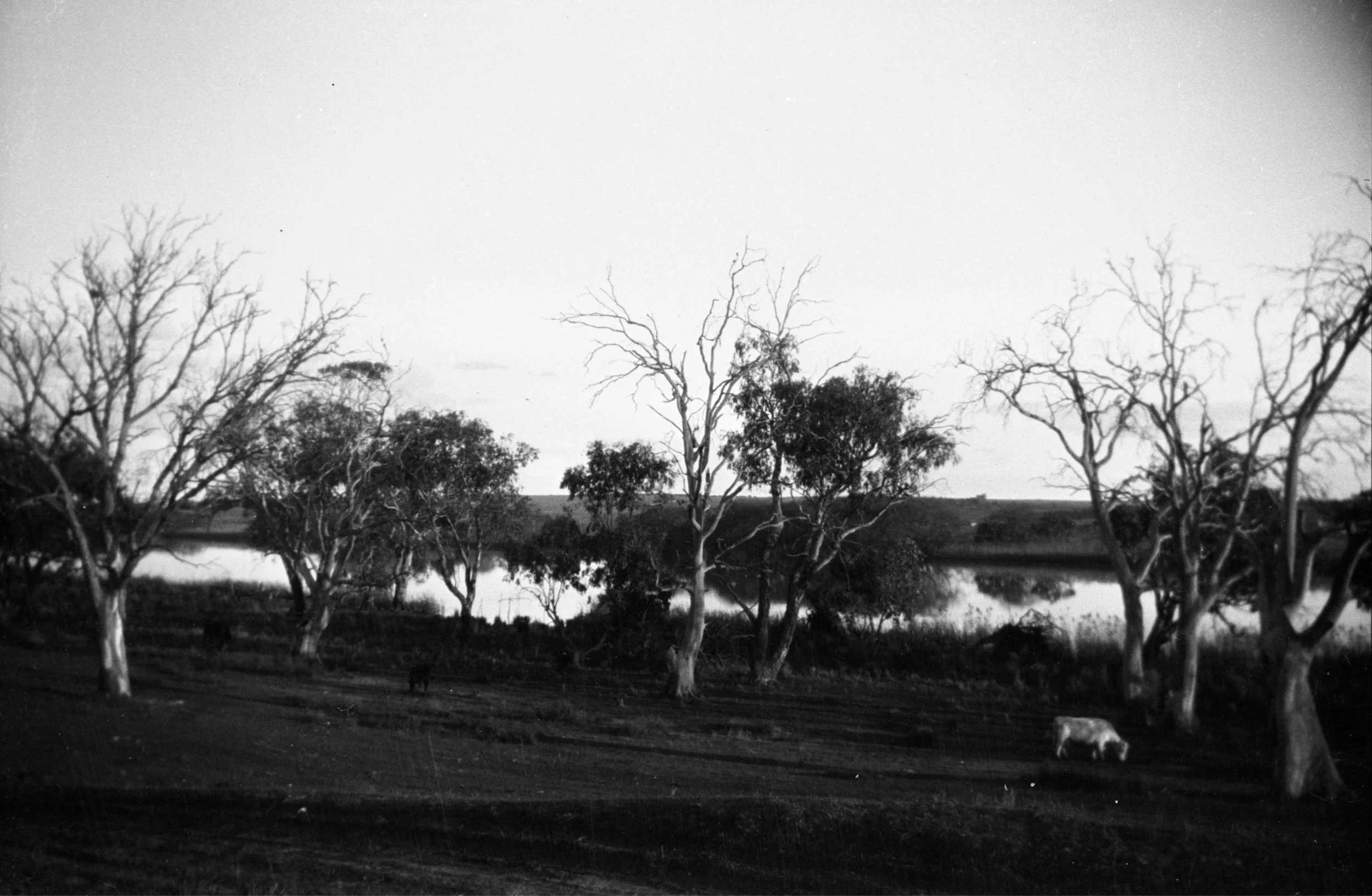 Eileen Jean Fenn 029 September 1934 007