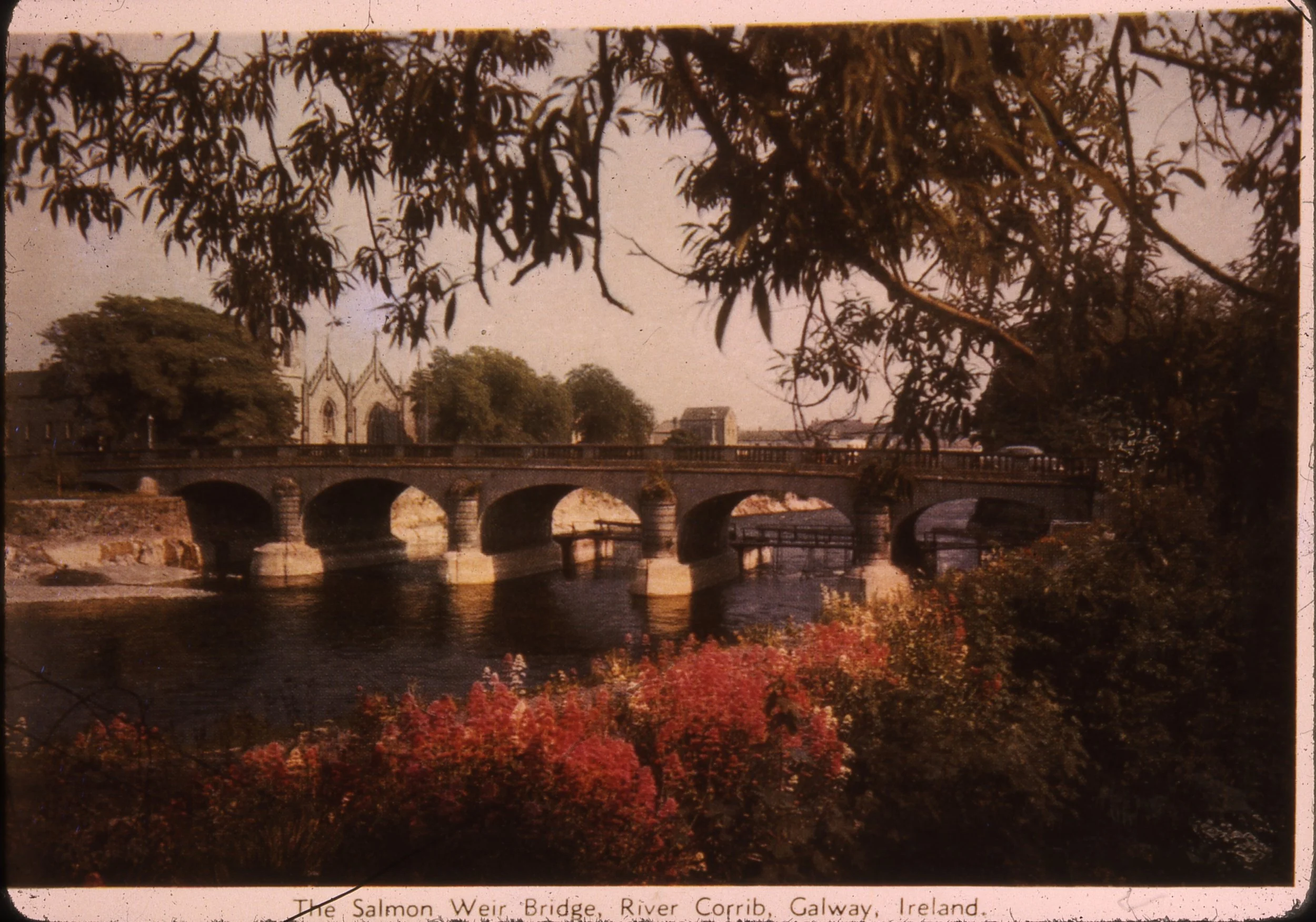 Ireland Slides From Melbourne 009 Saiman Weir Bridge River Galway