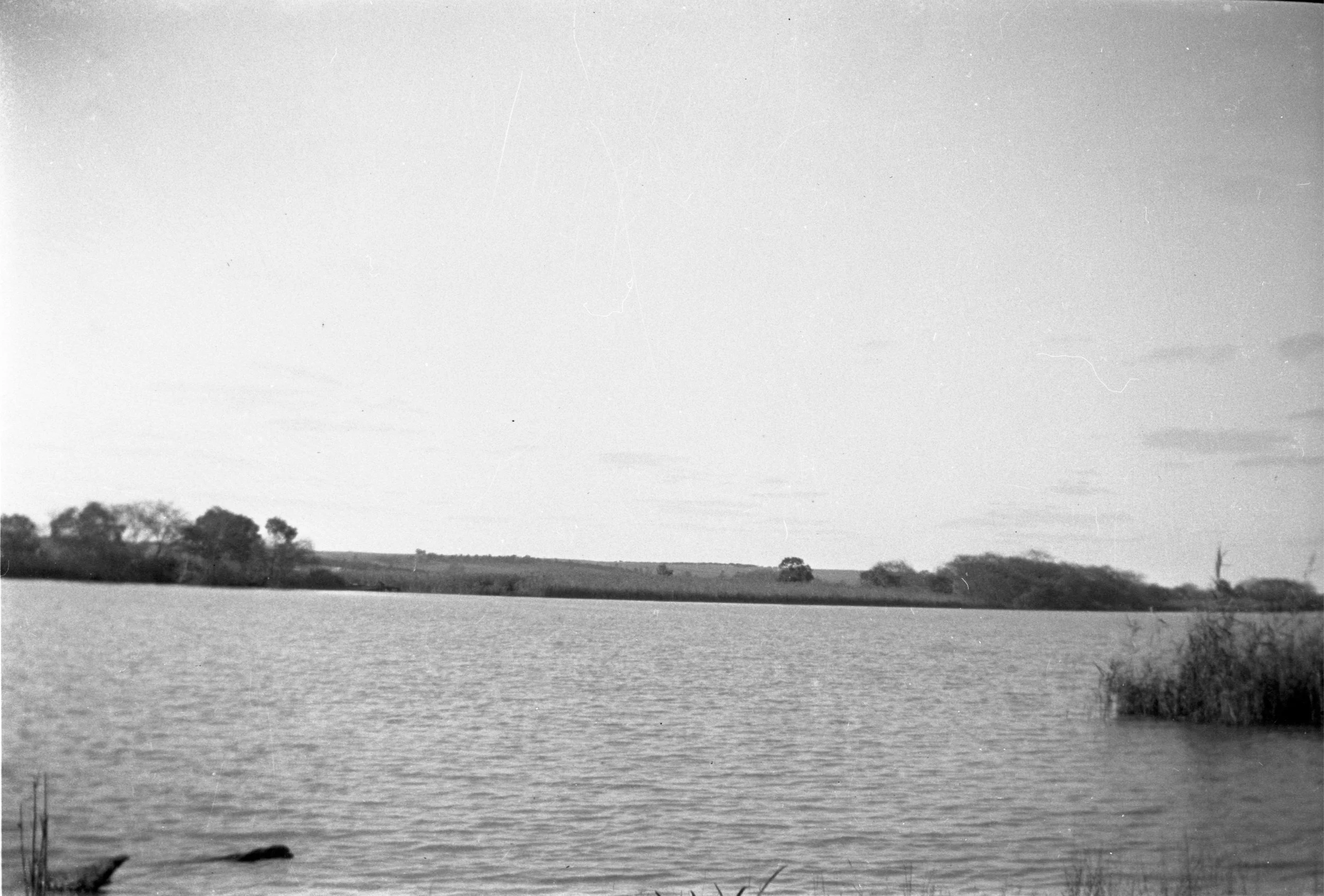 Eileen Jean Fenn August 1934 033