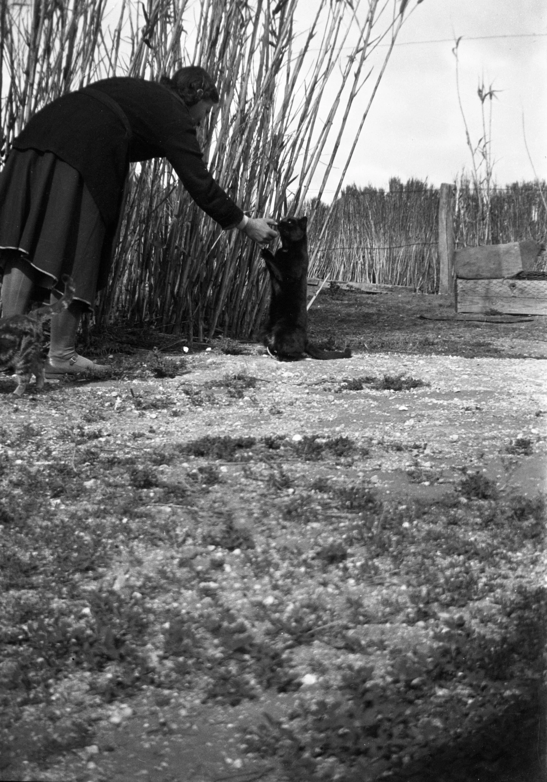 Eileen Jean Fenn August 1934 038