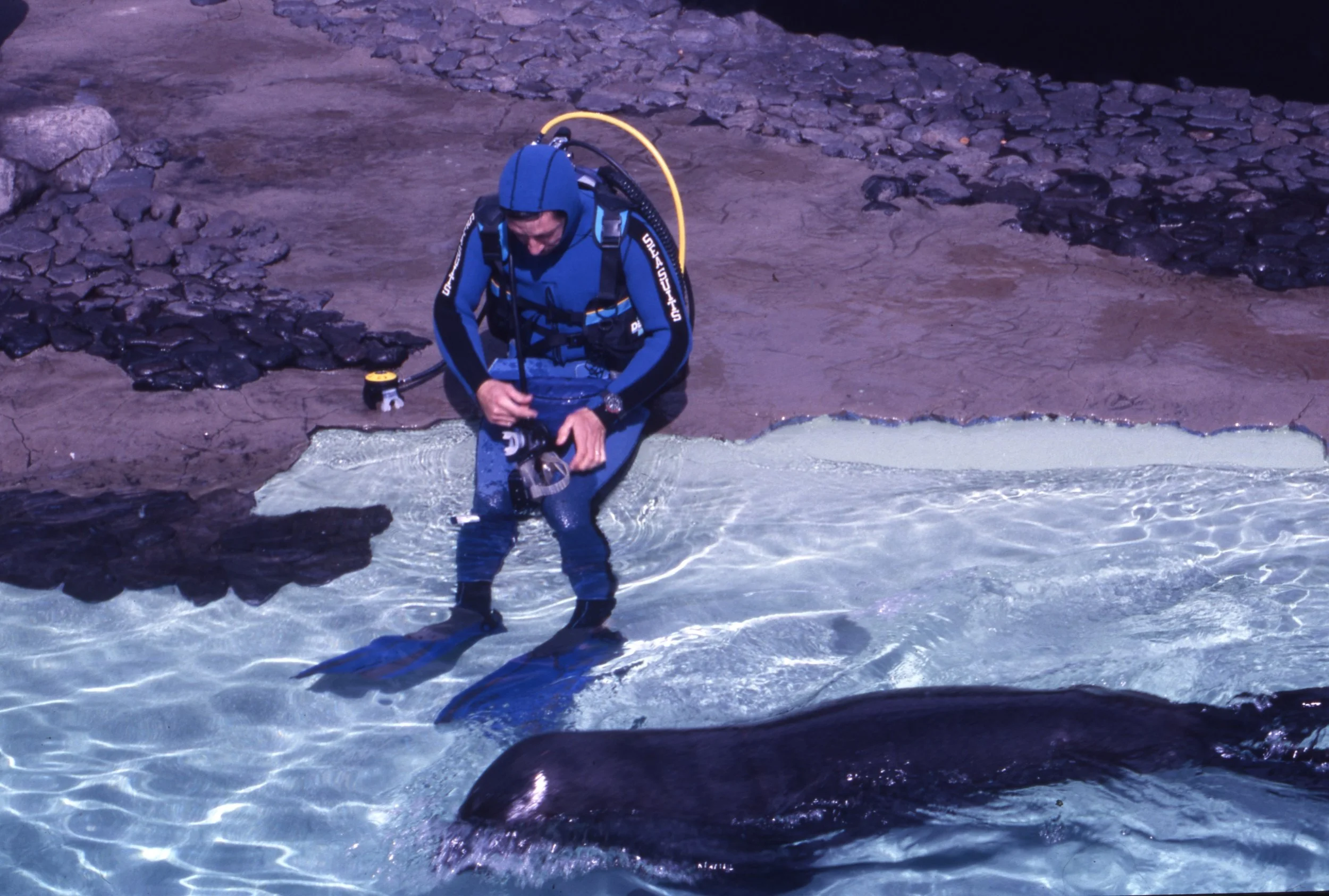 Ireland Slides From Melbourne 016 P O Brian Playmates