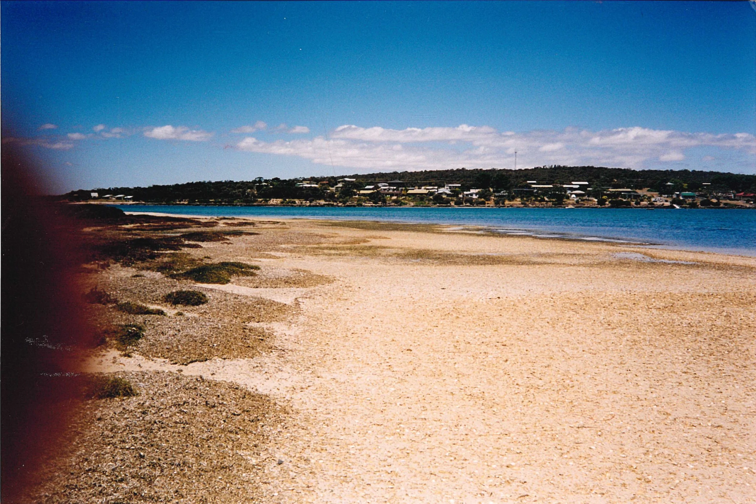 A sandy beach with patches of grass and seaweed, a calm river or lake, and residential houses on a hill in the background under a partly cloudy sky.