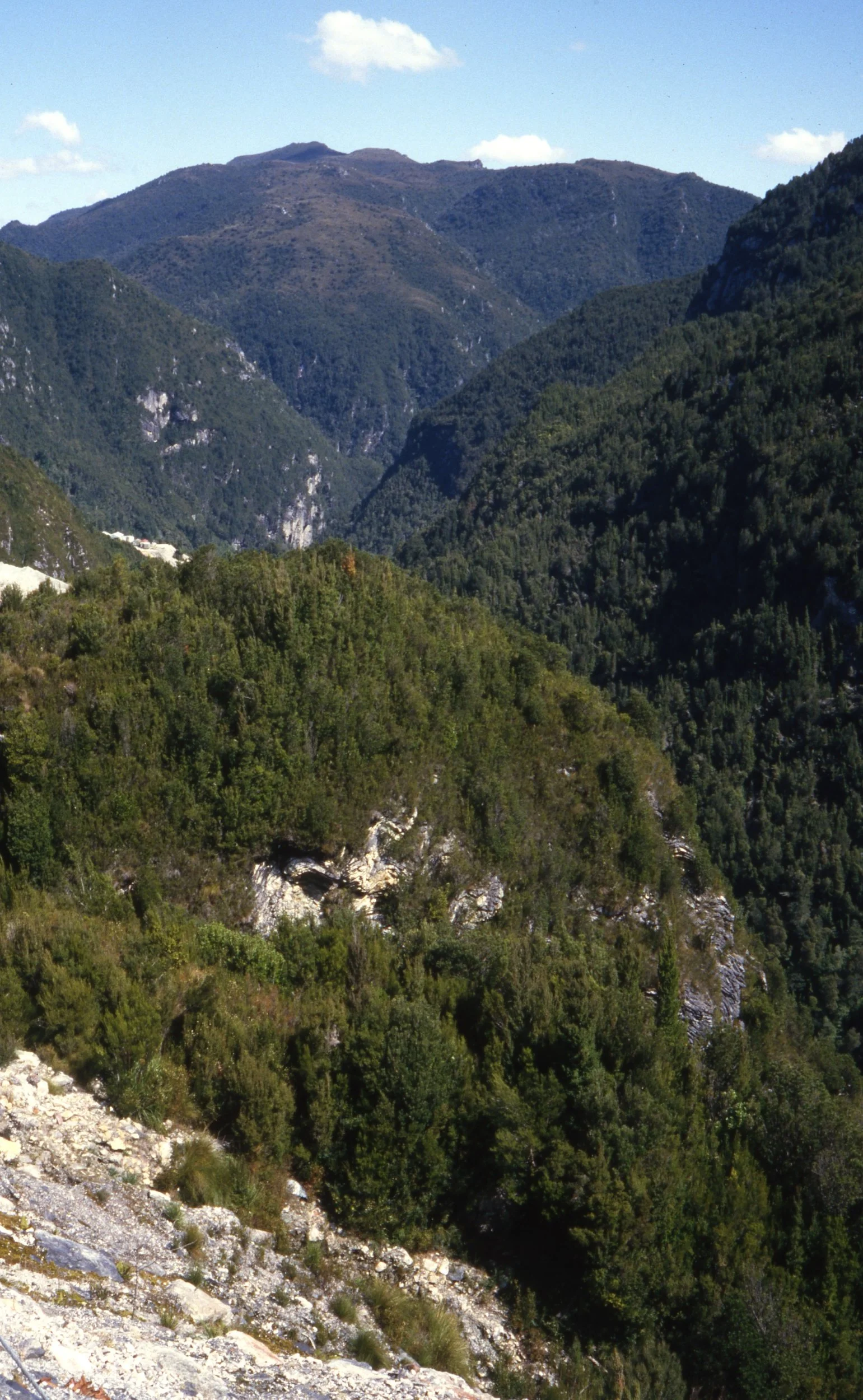 Eileen Jean Fenn 014 Dam Controversy Site Near Gordon River Dan October 1985