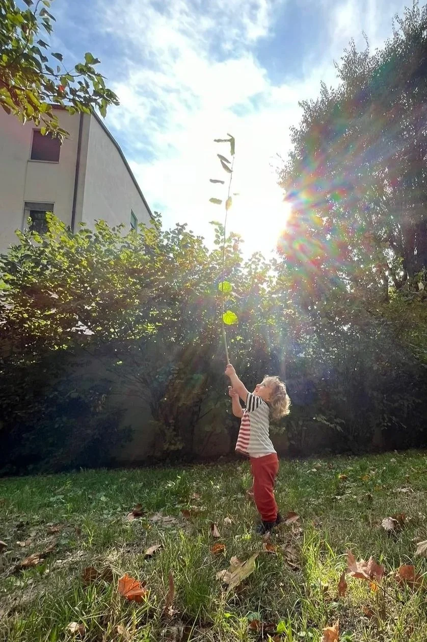 Un bambino riempie una lunga asta di foglie e riconduce al cielo, con il sole splendente e un cielo sereno, circondato da alberi e un edificio vicino.