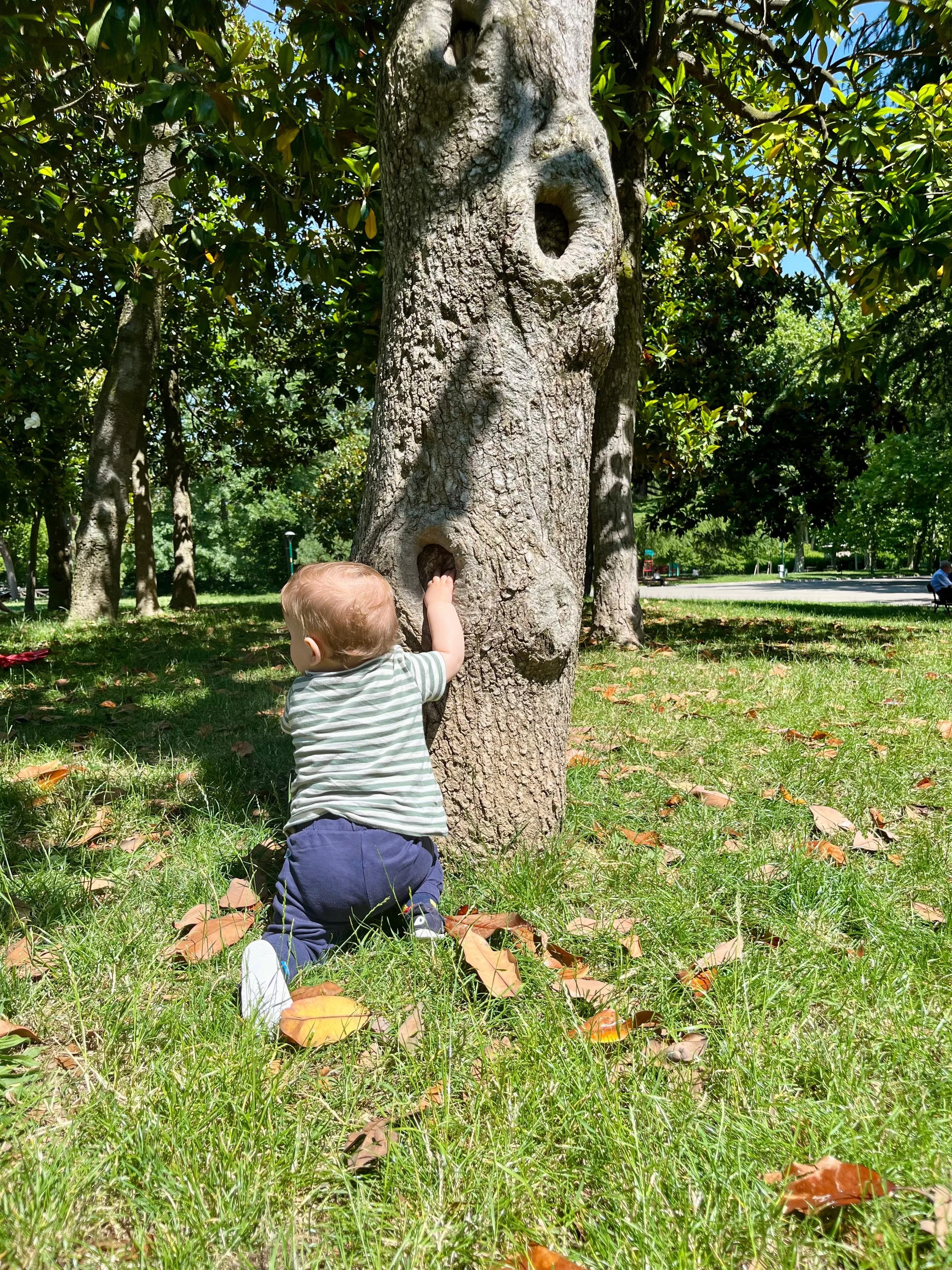 Un bambino in piedi che esplora un albero in un parco verde, con foglie sugli stivaletti, in una giornata soleggiata.
