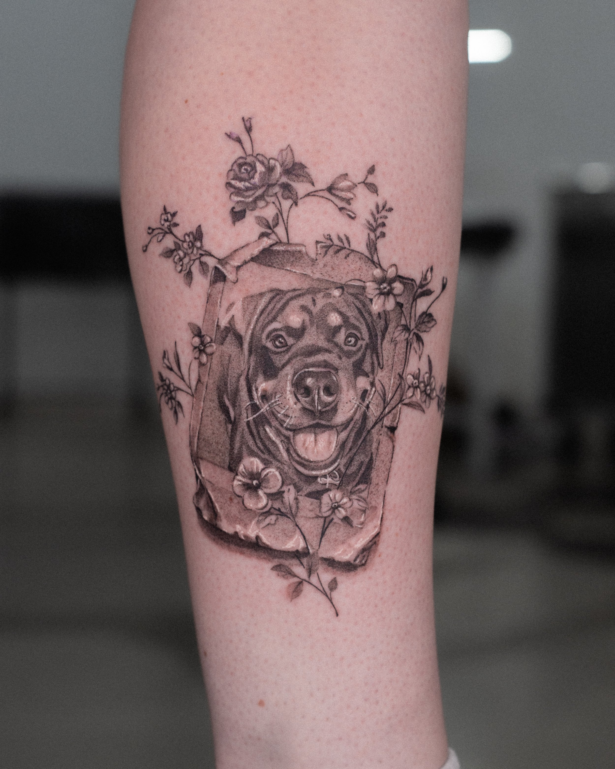 Dog, pet tattoo, black-and-grey style, realism, microrealism. Done in Manchester, UK.