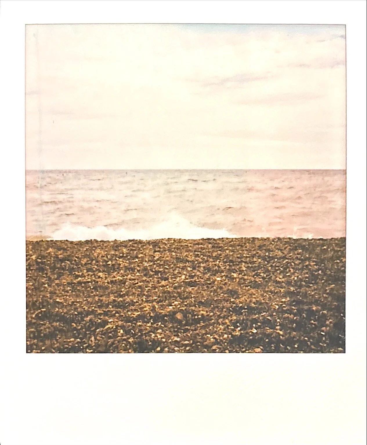 IMG_1115.jpeg