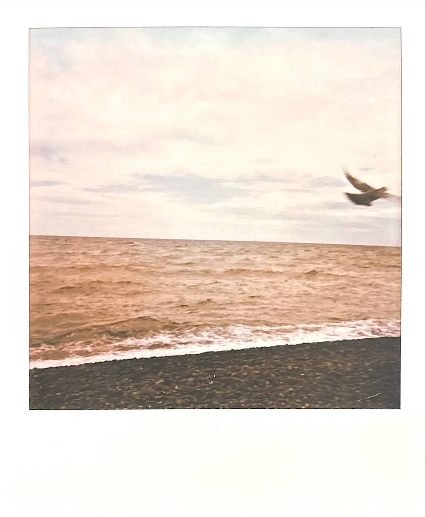 IMG_1117.jpeg