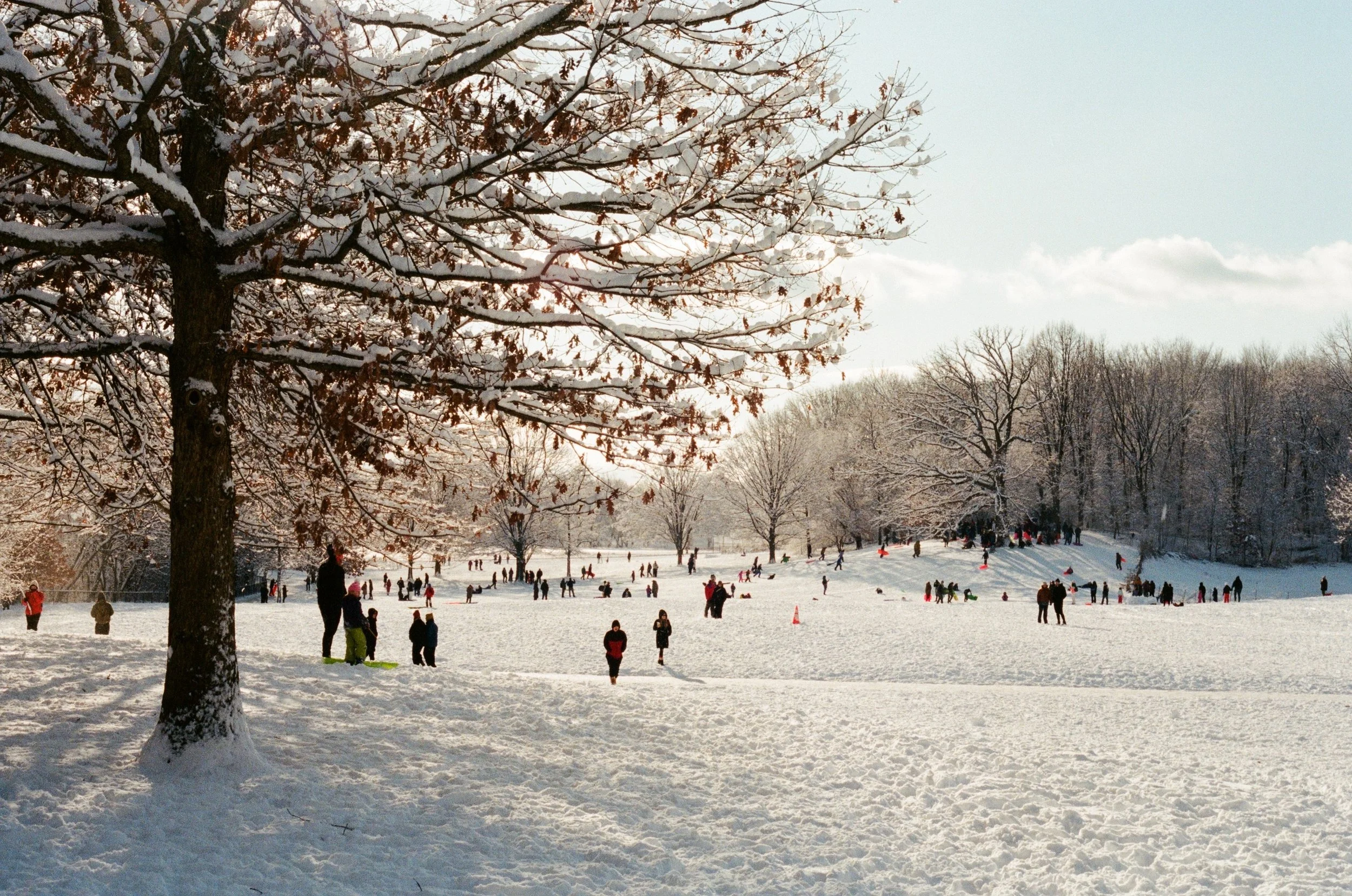 walking around prospect or fort greene park