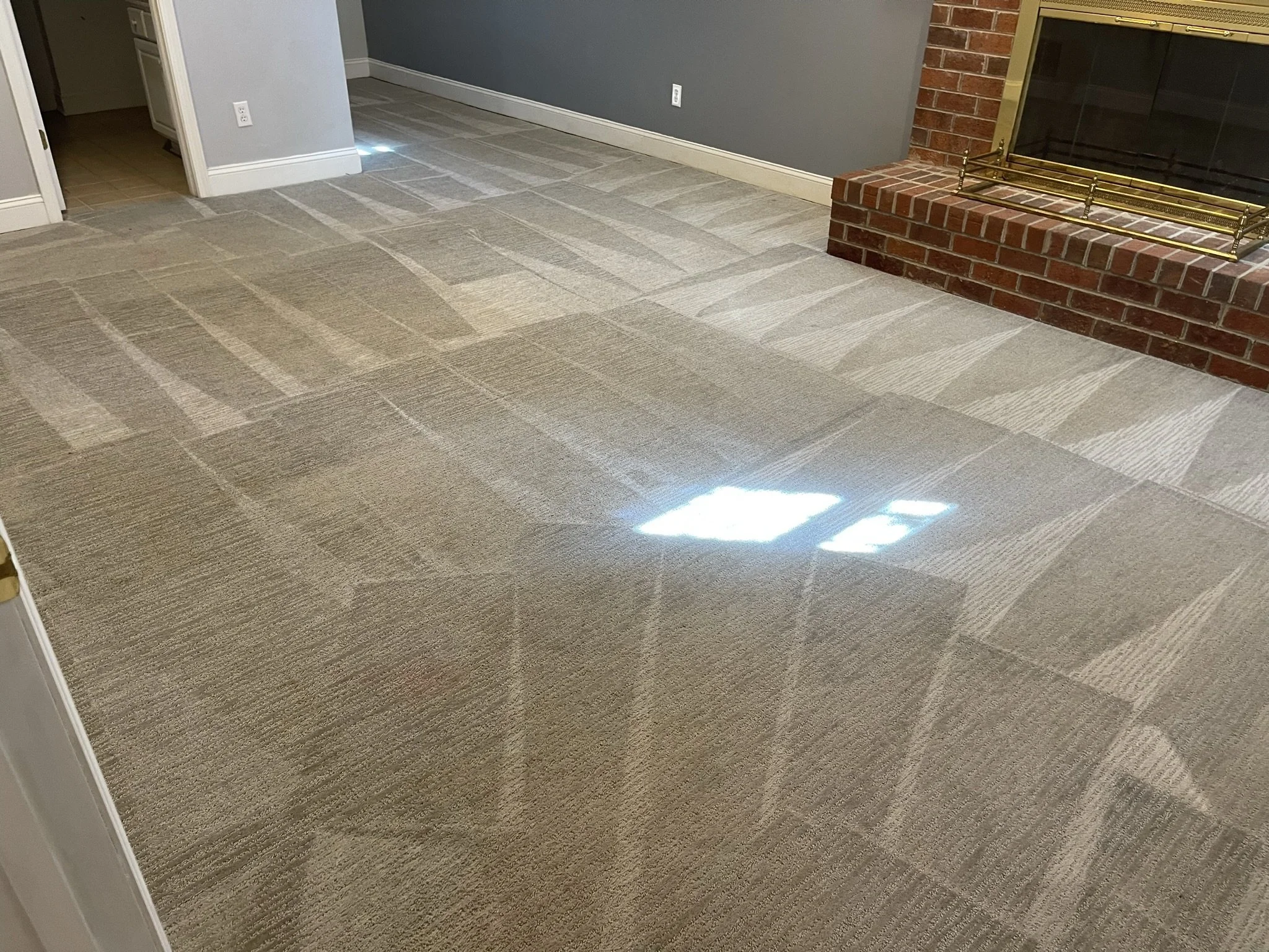 Carpet Cleaning