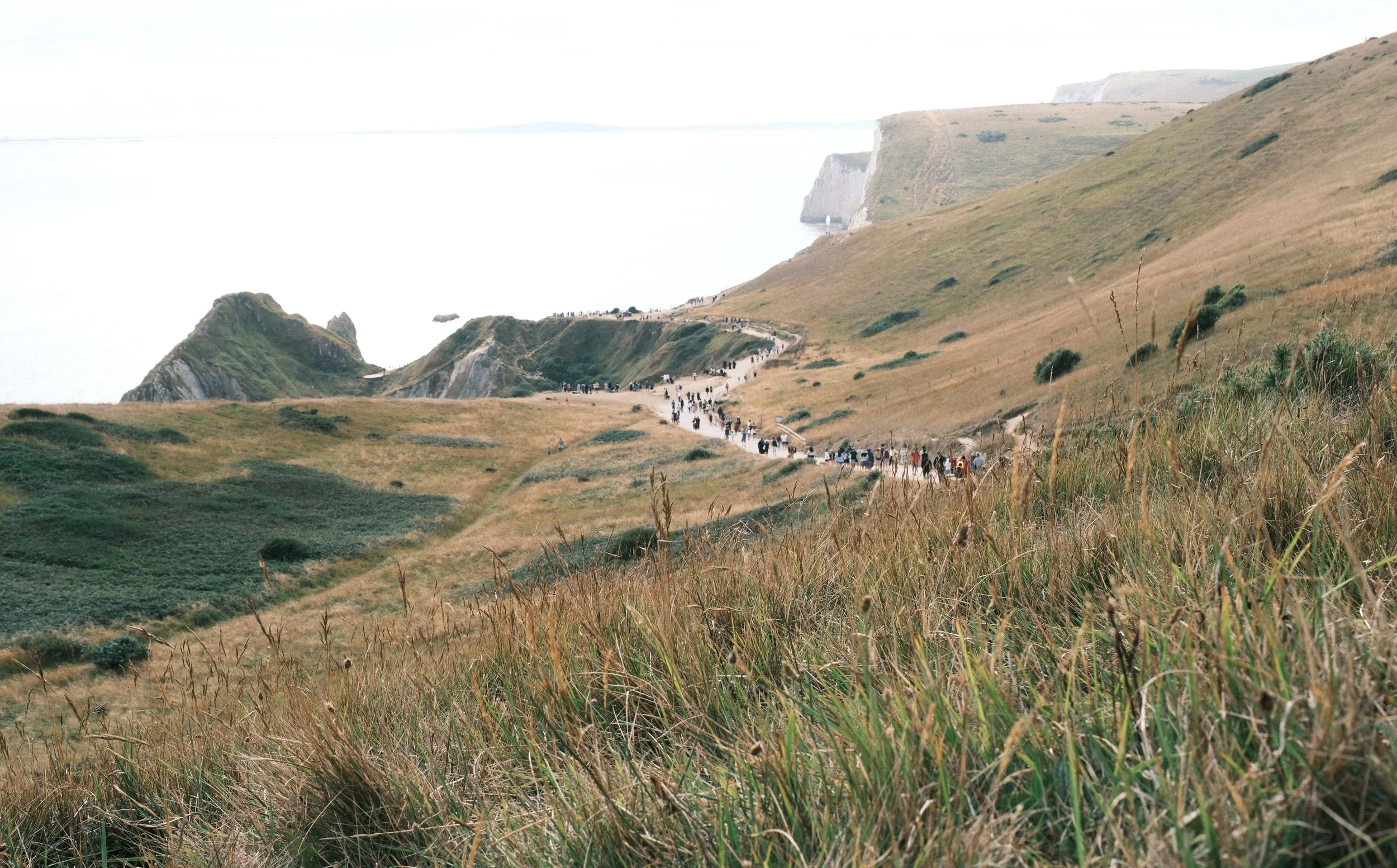 A winding coastal trail with many people walking along it, surrounded by grassy hills and cliffs, leading toward the ocean in the background.