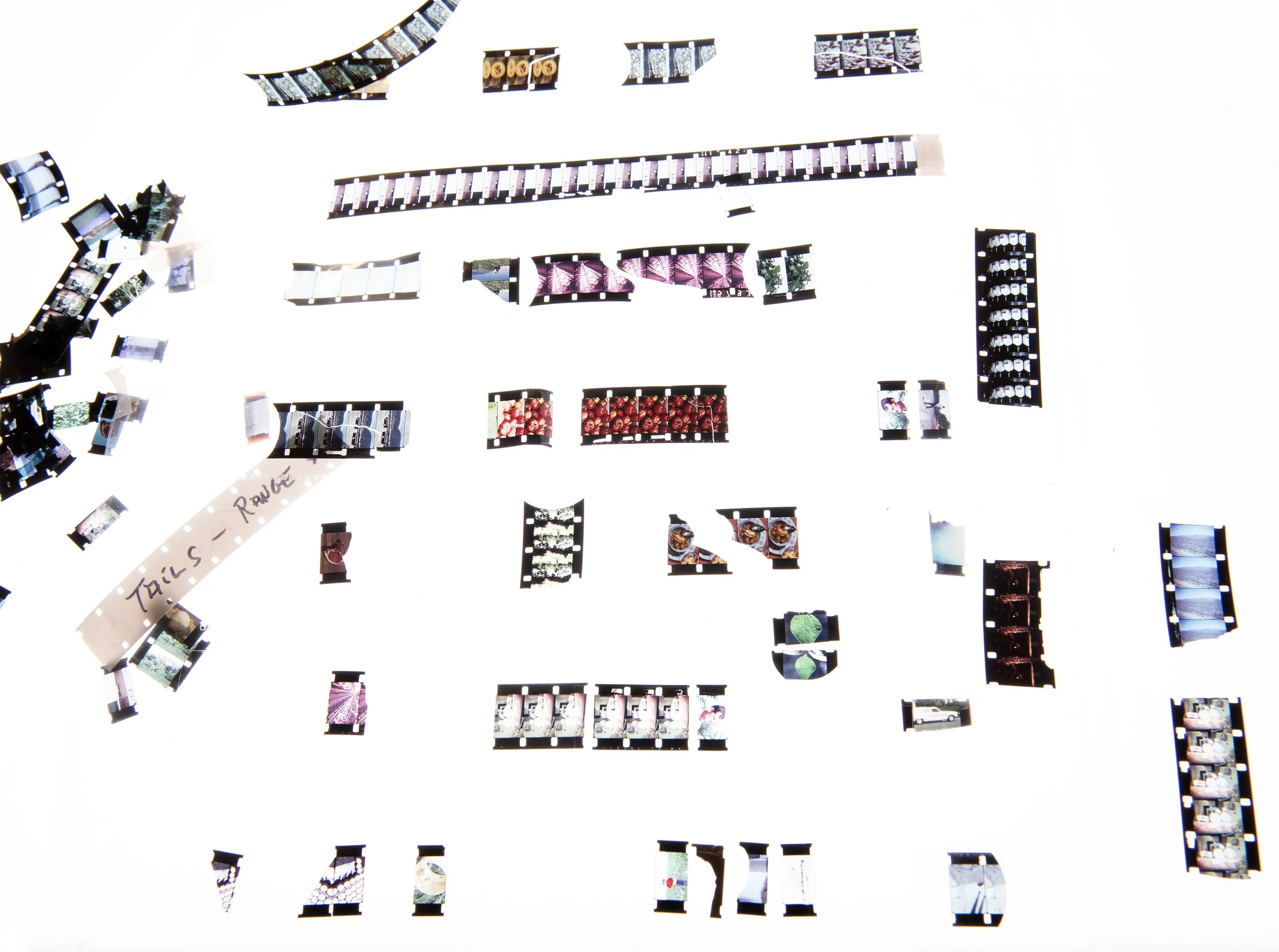Documentation from film editing for DOMESTIC and the Dispersion of Contents, book launch + performance + Discussion at Reference Point, London, 2025