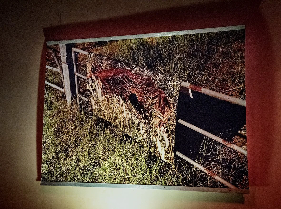 Documentation from DOMESTIC and the Dispersion of Contents, book launch + performance + Discussion at Reference Point, London, 2025

Image credit: Ramona Güntert and Wojciech Kawczyk