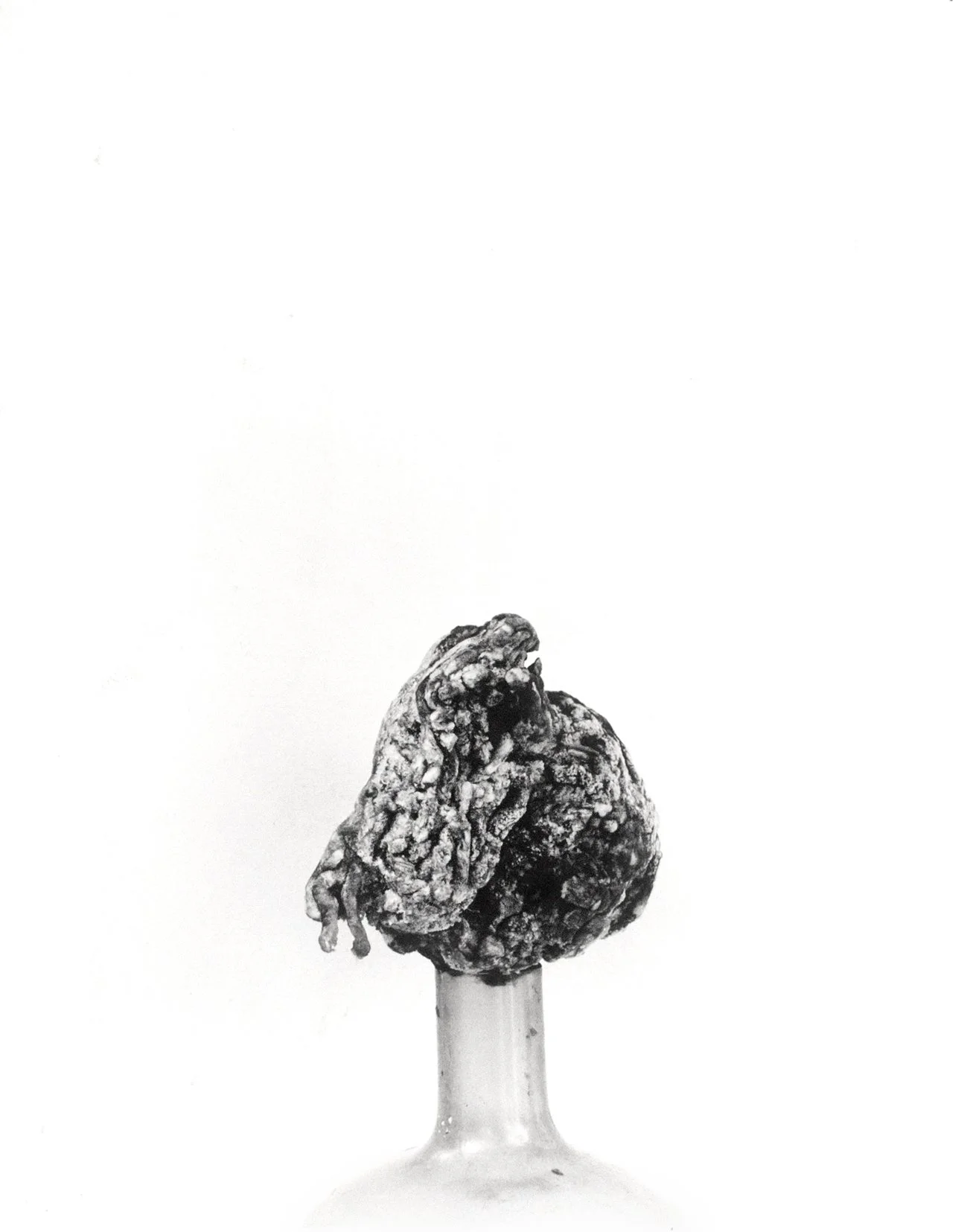 £3.60 
unique black and white hand print made with emulsion coated etching paper 
