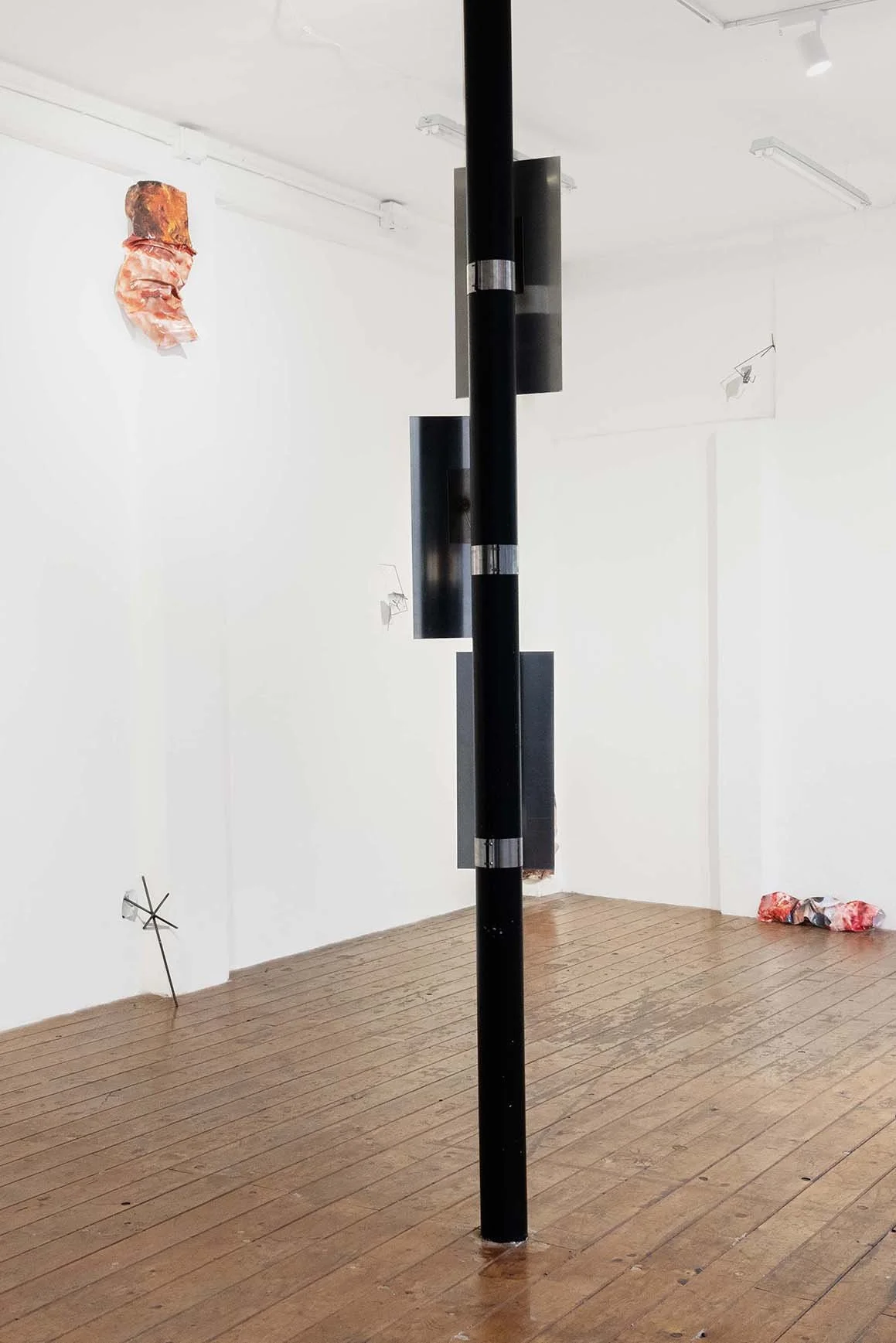 FlyCatcher, 2024, unique ctype hand prints mounted on aluminium, steel brace,
Installation view of Aeterna, a bi-personal exhibition with Lorena Florio, at Mucho Mas! Turin, 2024

