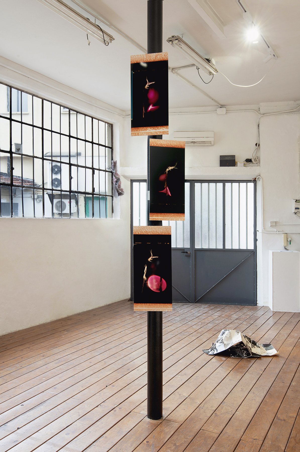 FlyCatcher, 2024, unique ctype hand prints mounted on aluminium, steel brace,
Installation view of Aeterna, a bi-personal exhibition with Lorena Florio, at Mucho Mas! Turin, 2024