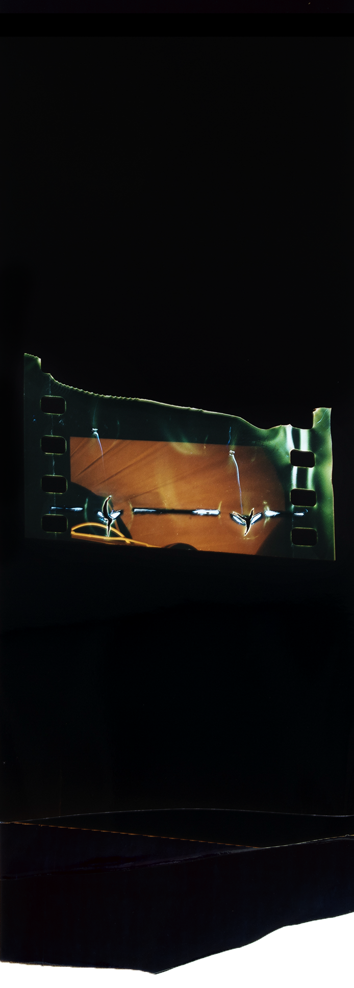 DN_15copy.png