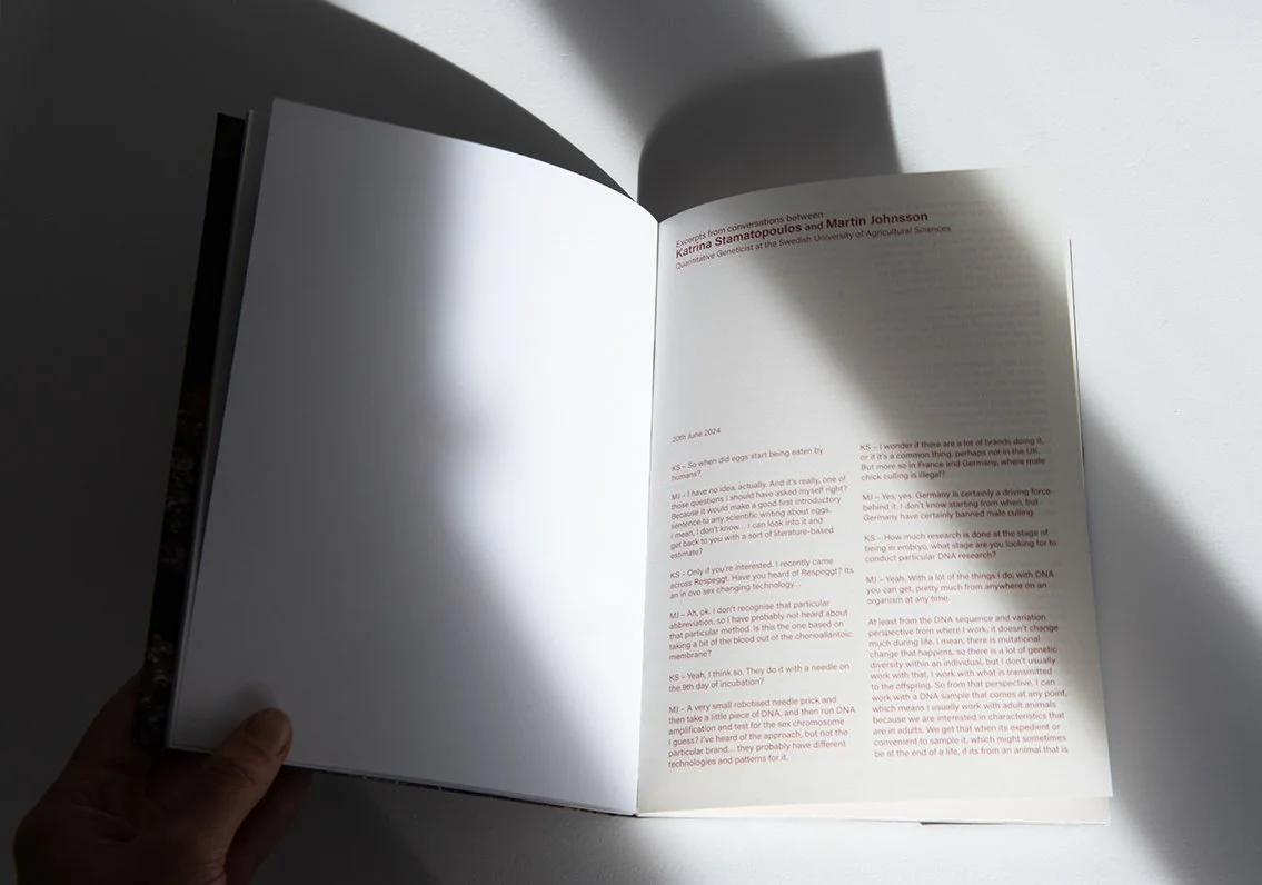 DOMESTIC book documentation_05.jpg